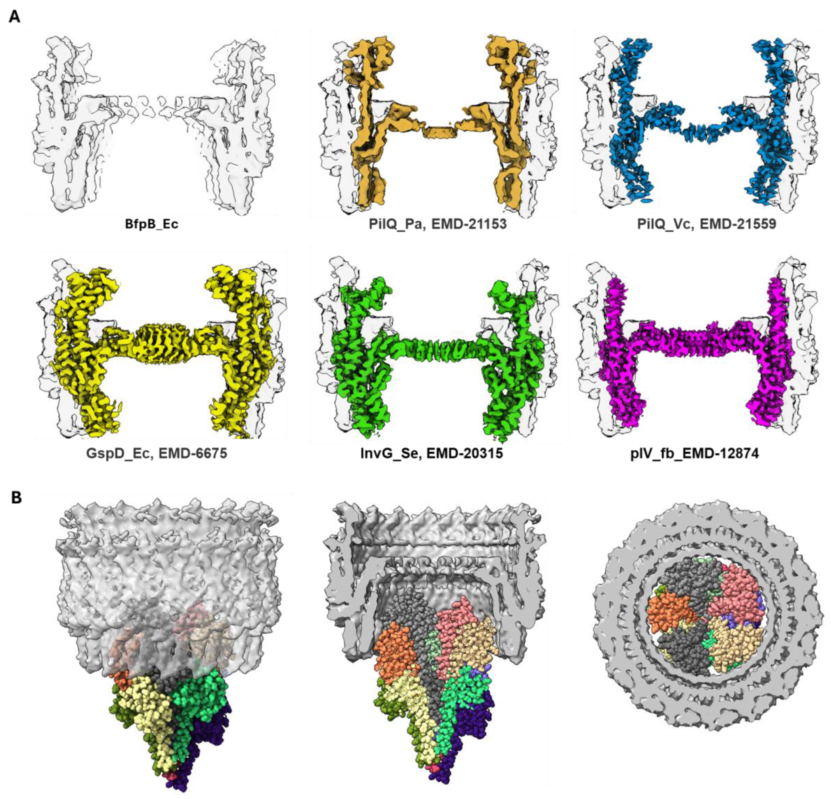 Pathogens 14 00471 g008
