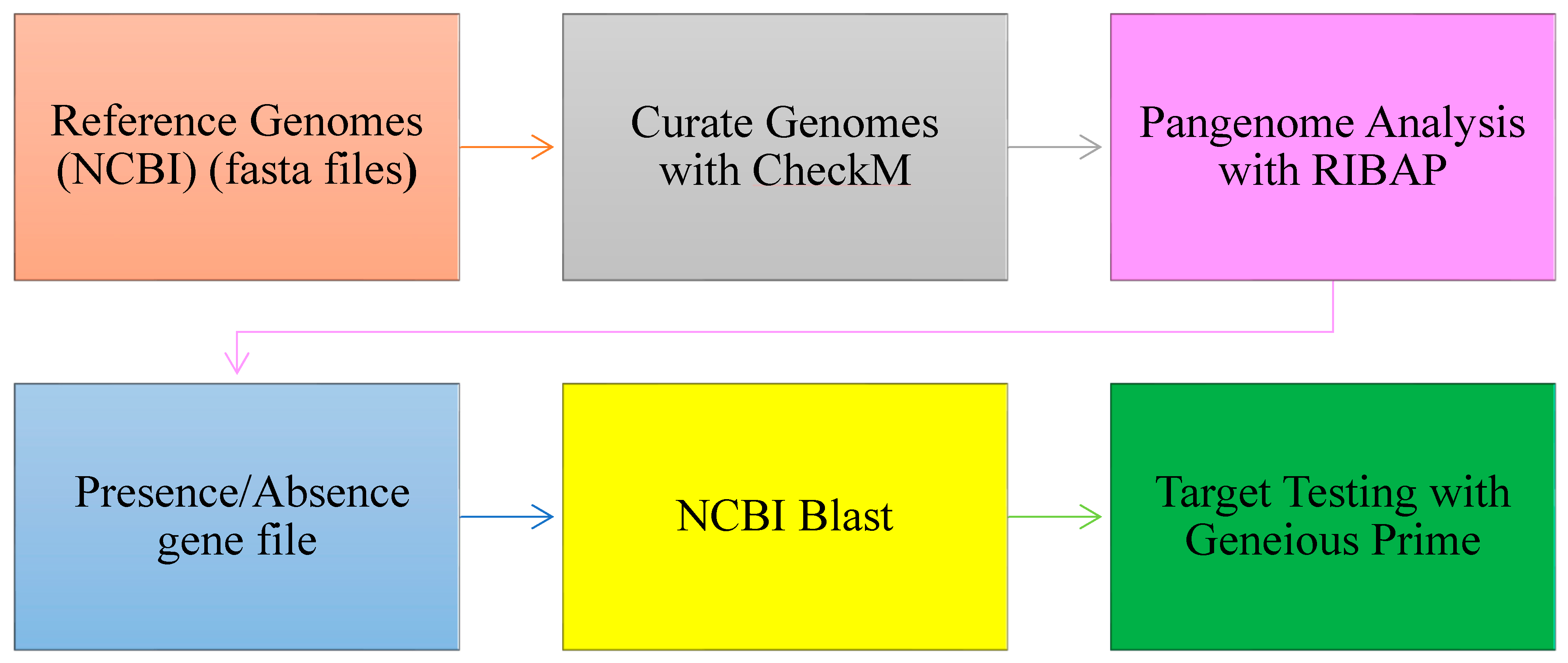 Pathogens 14 00477 g001