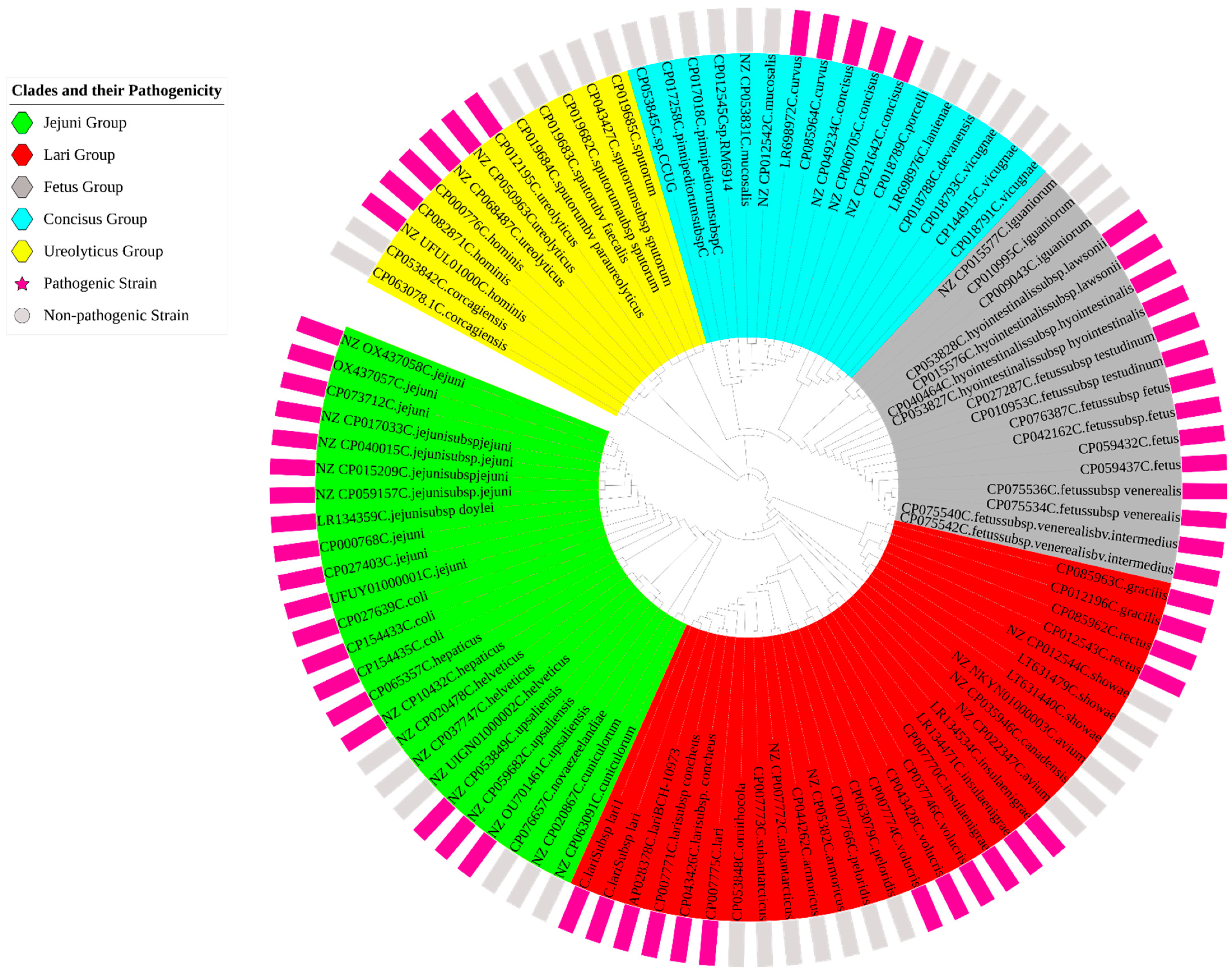 Pathogens 14 00477 g003