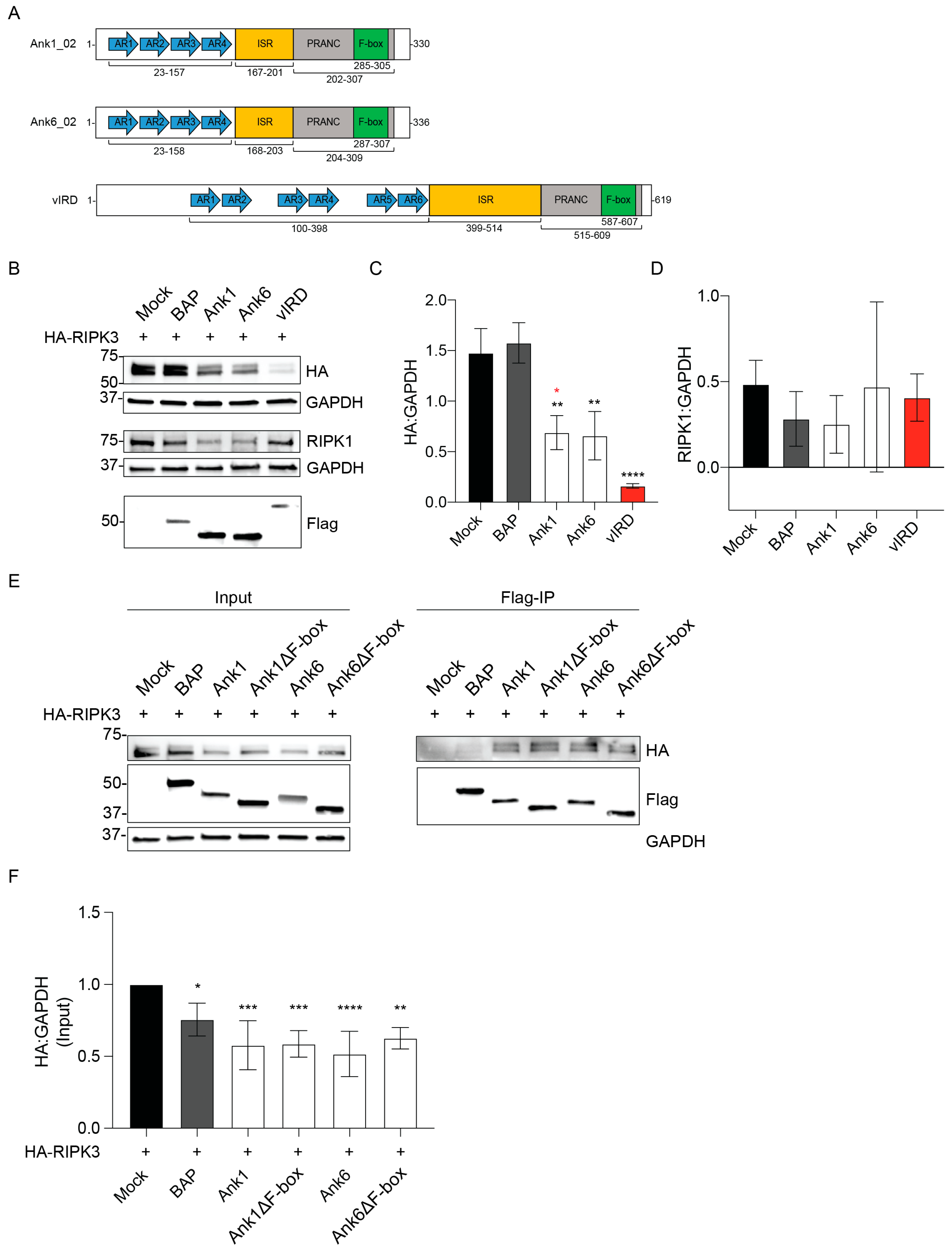 Pathogens 14 00478 g001