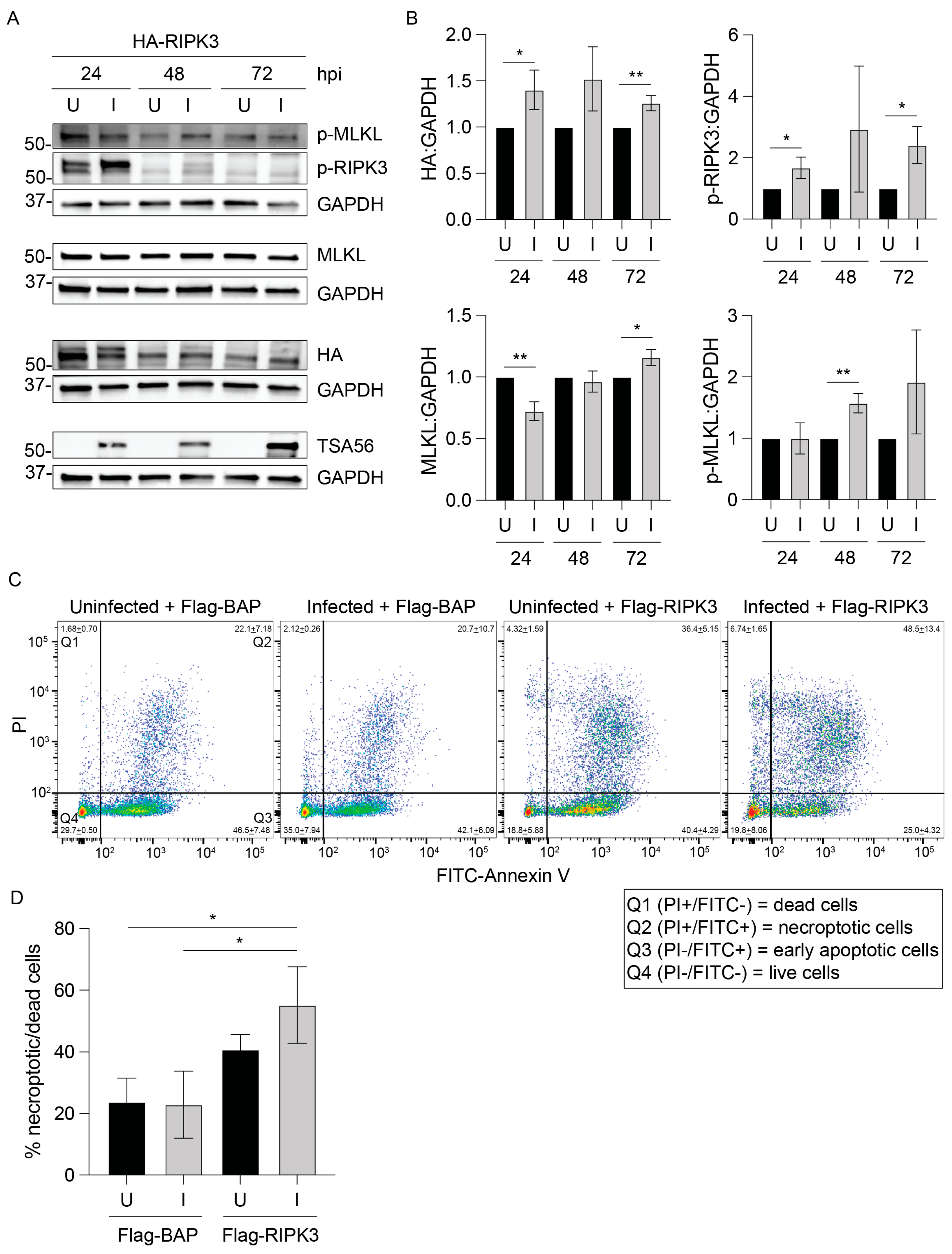 Pathogens 14 00478 g004