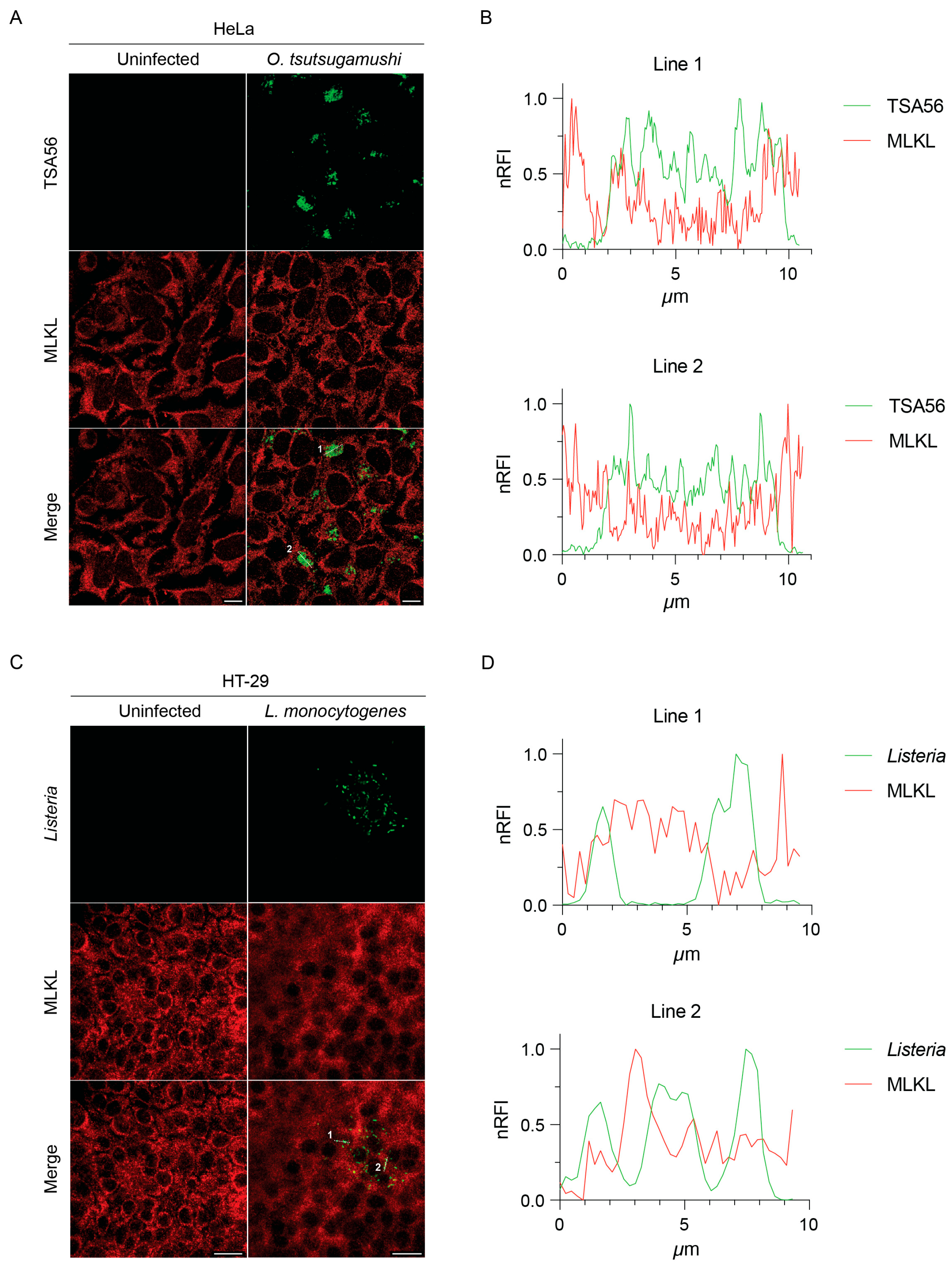 Pathogens 14 00478 g005