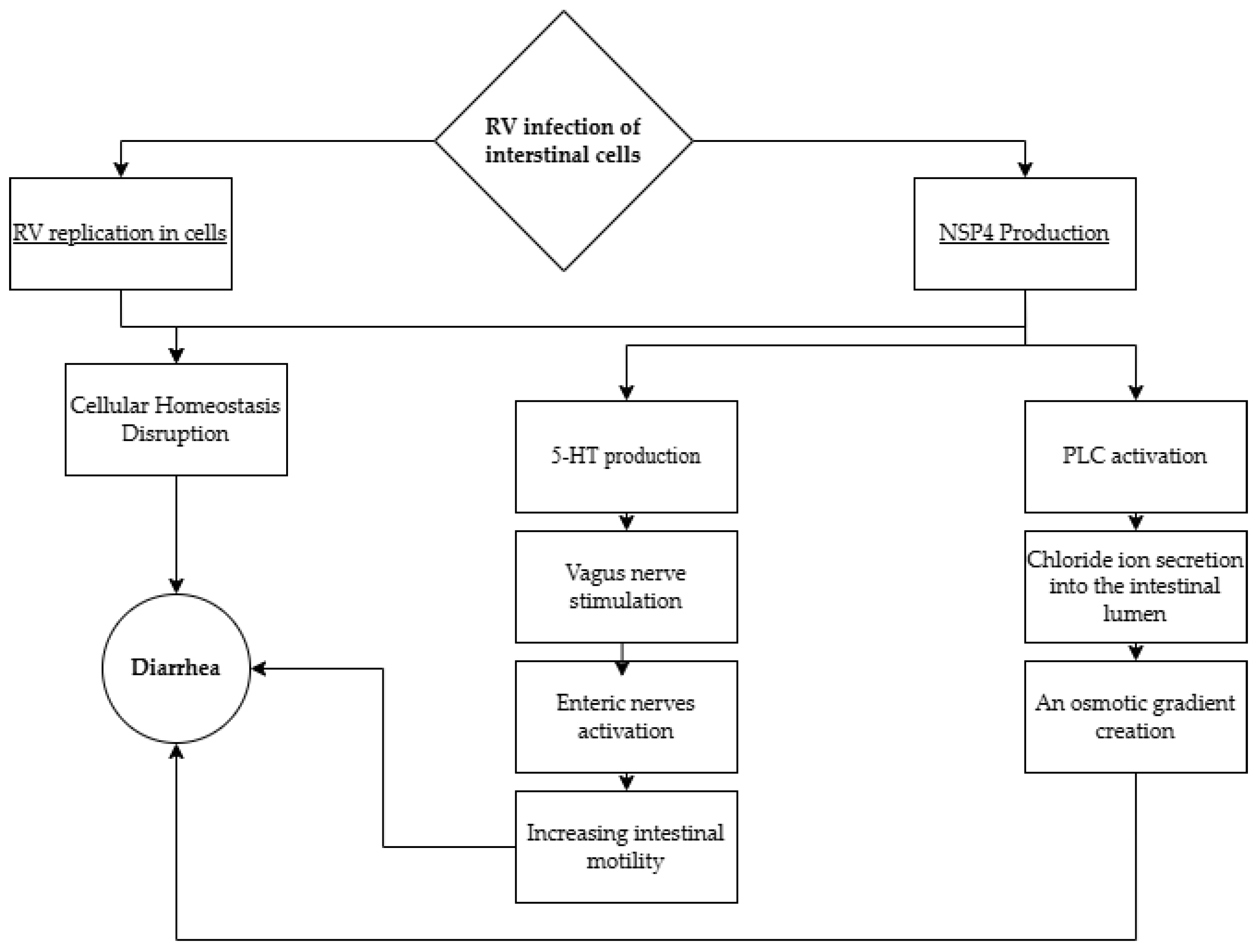 Pathogens 14 00480 g002