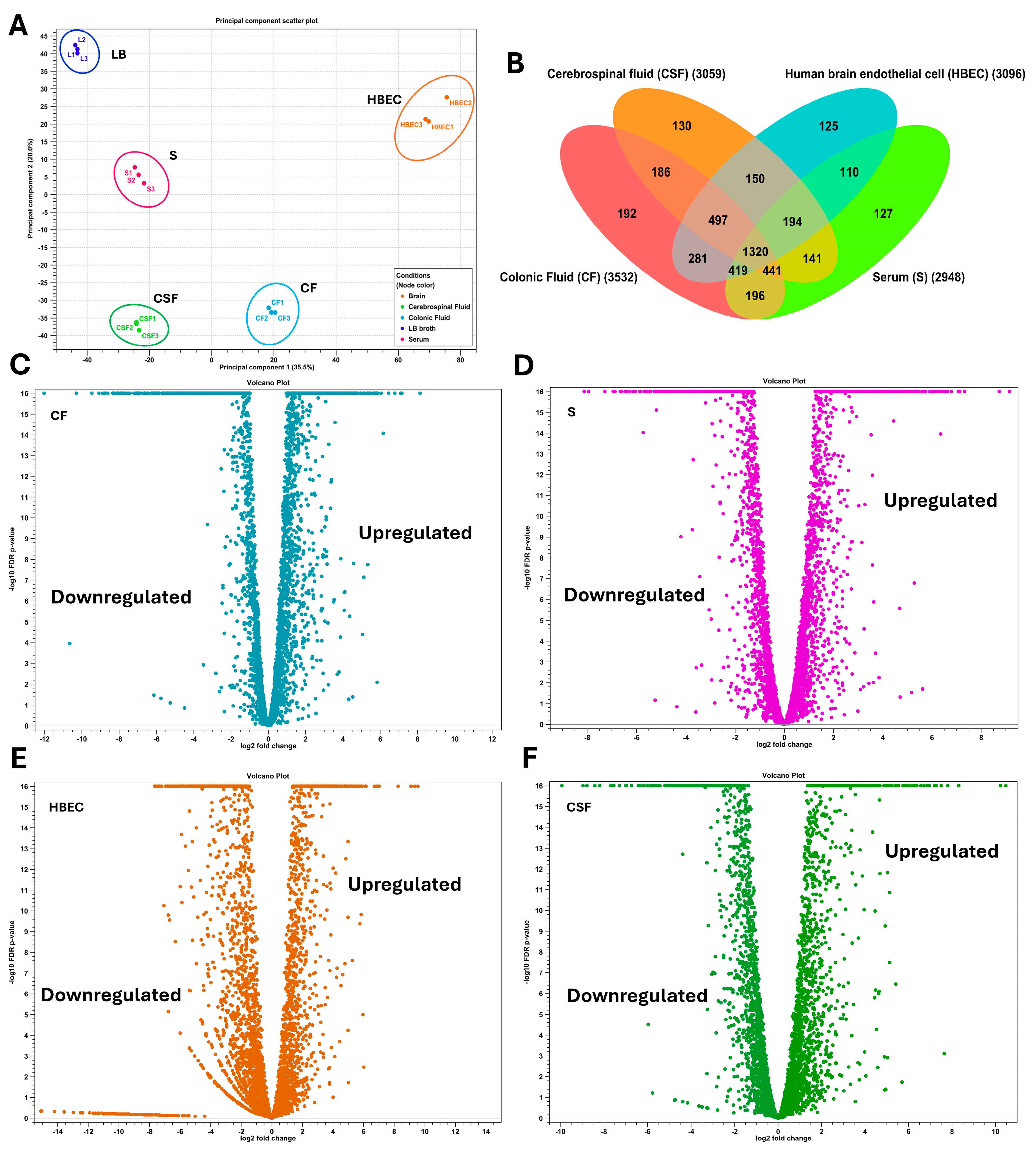 Pathogens 14 00485 g003