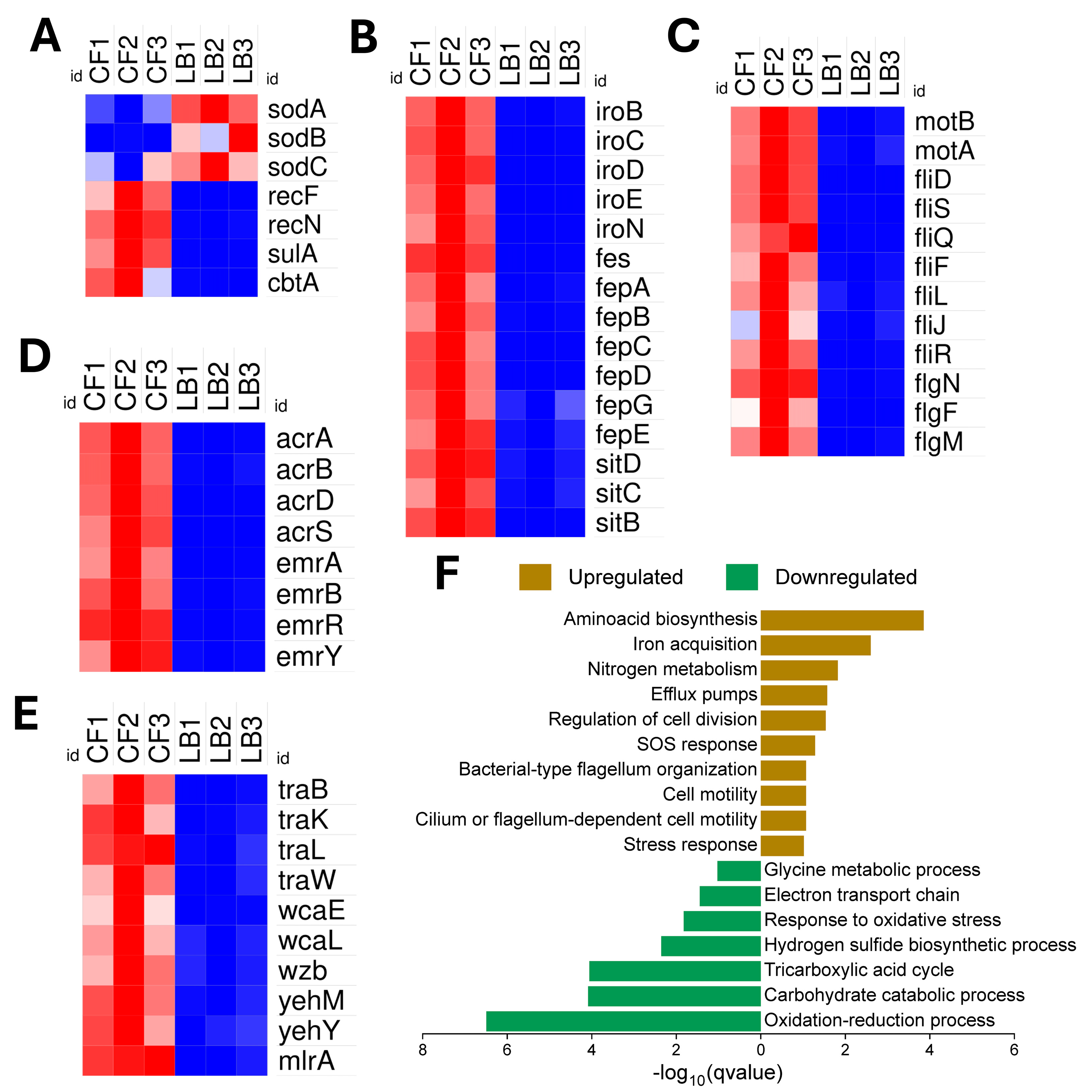 Pathogens 14 00485 g004