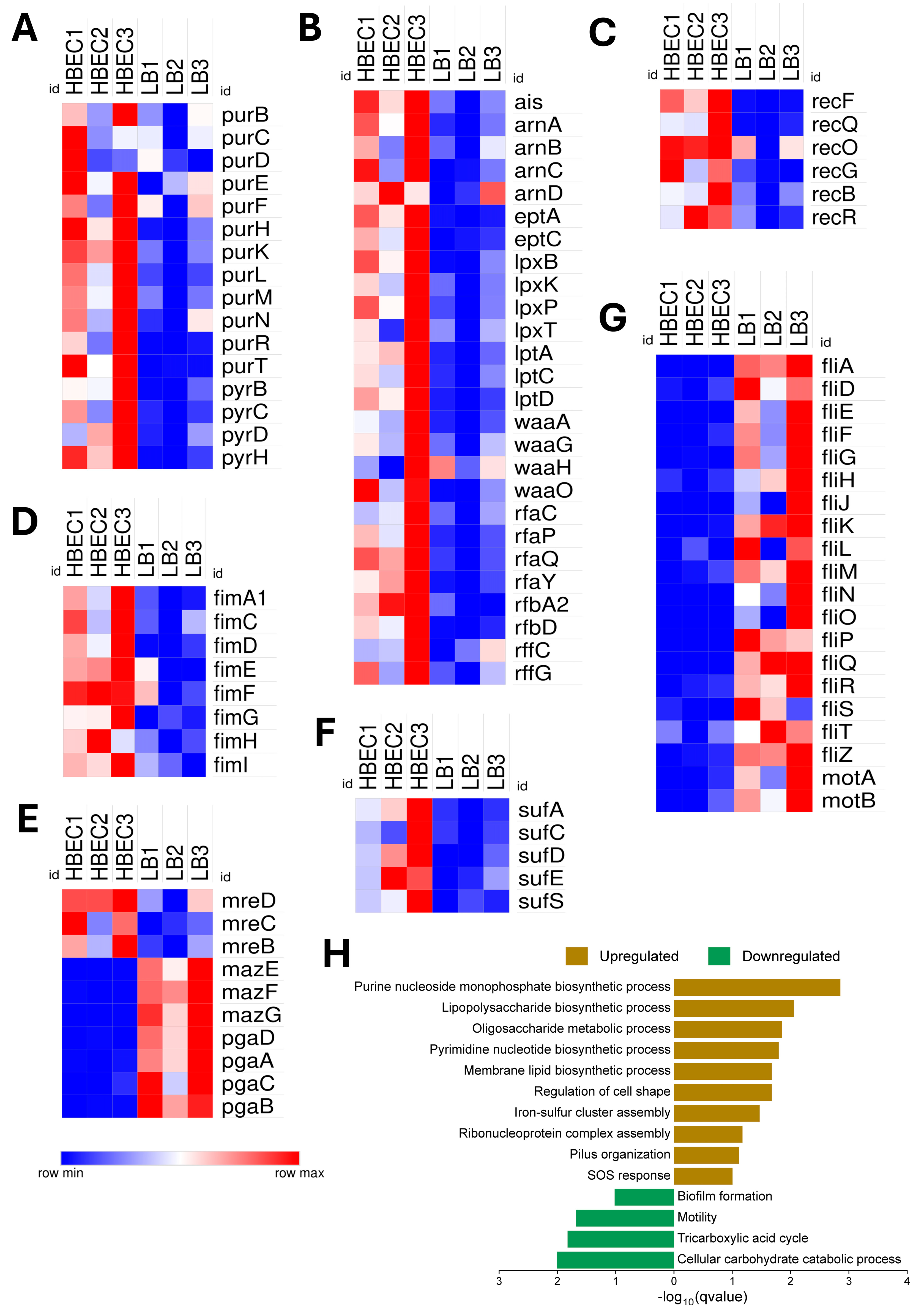 Pathogens 14 00485 g006