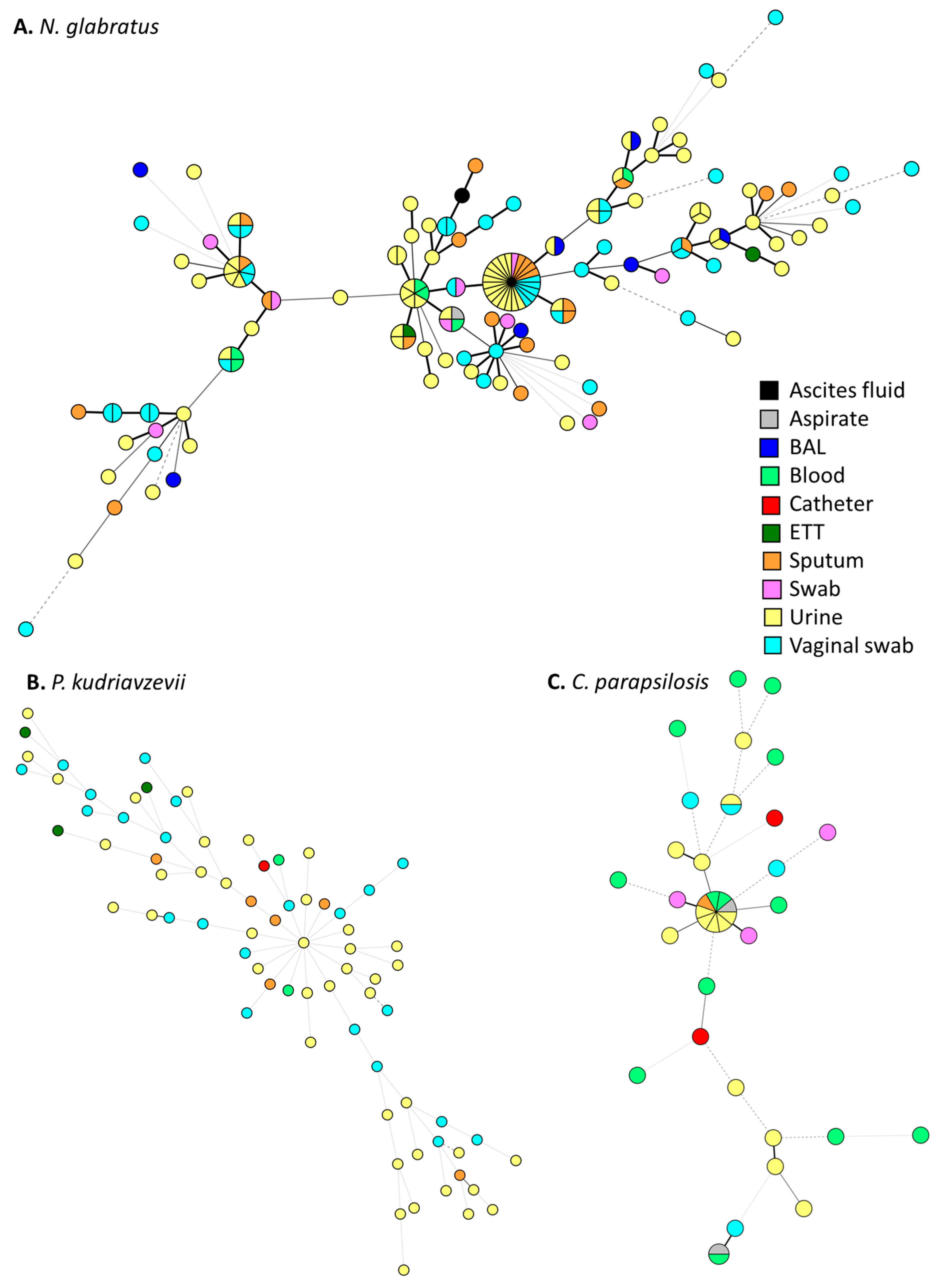 Pathogens 14 00486 g003 Pathogens 14 00486 g003