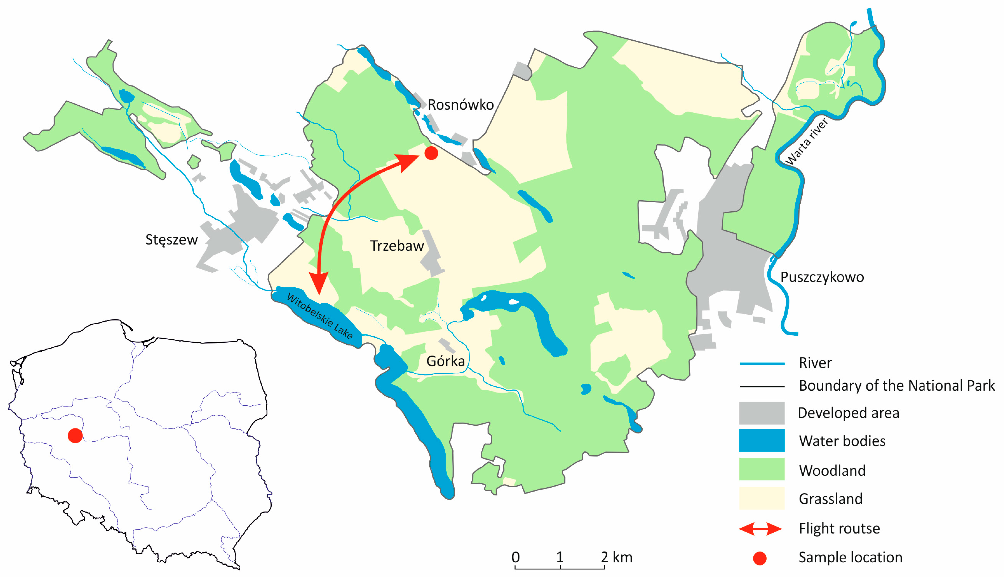 Pathogens 14 00489 g001
