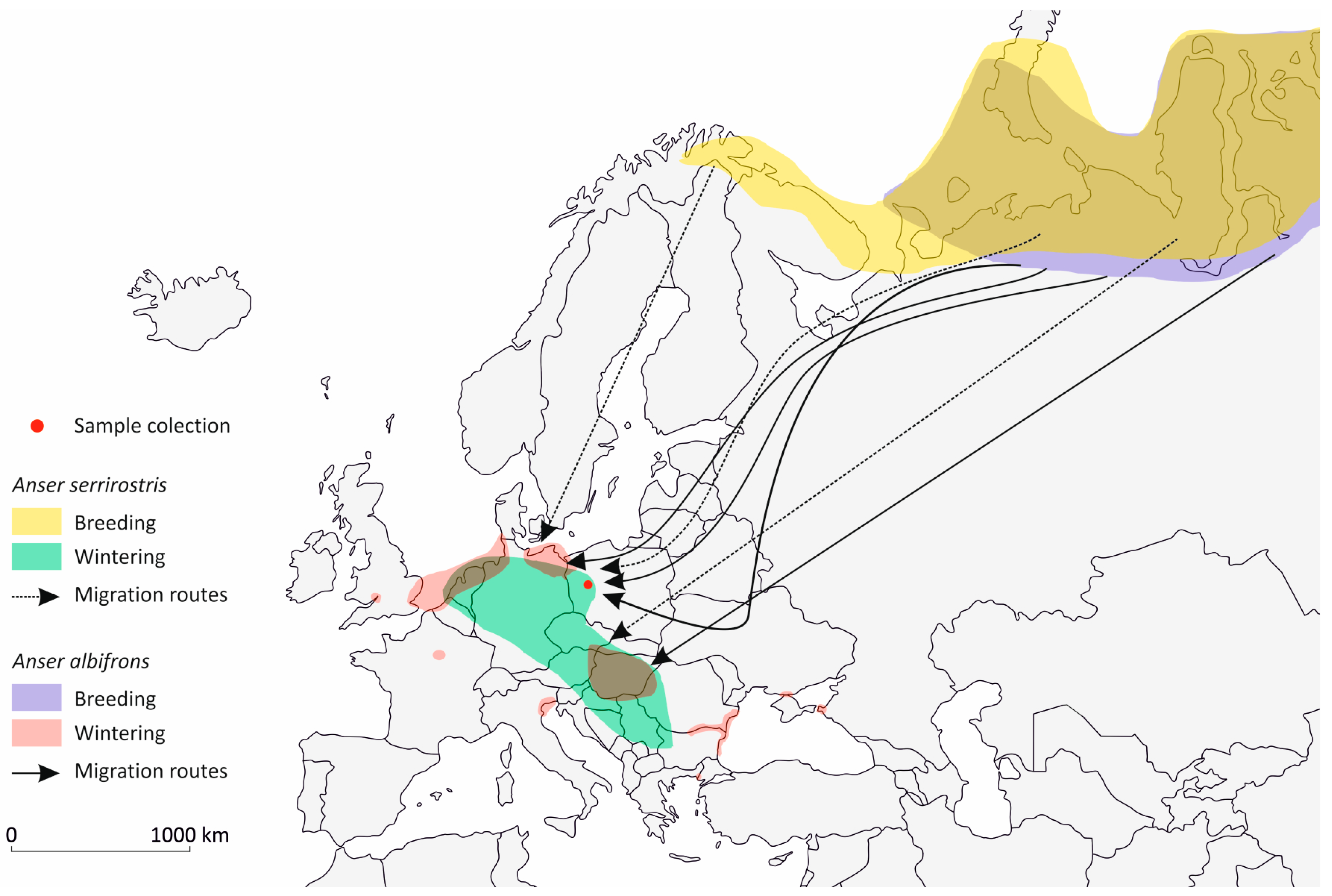 Pathogens 14 00489 g003