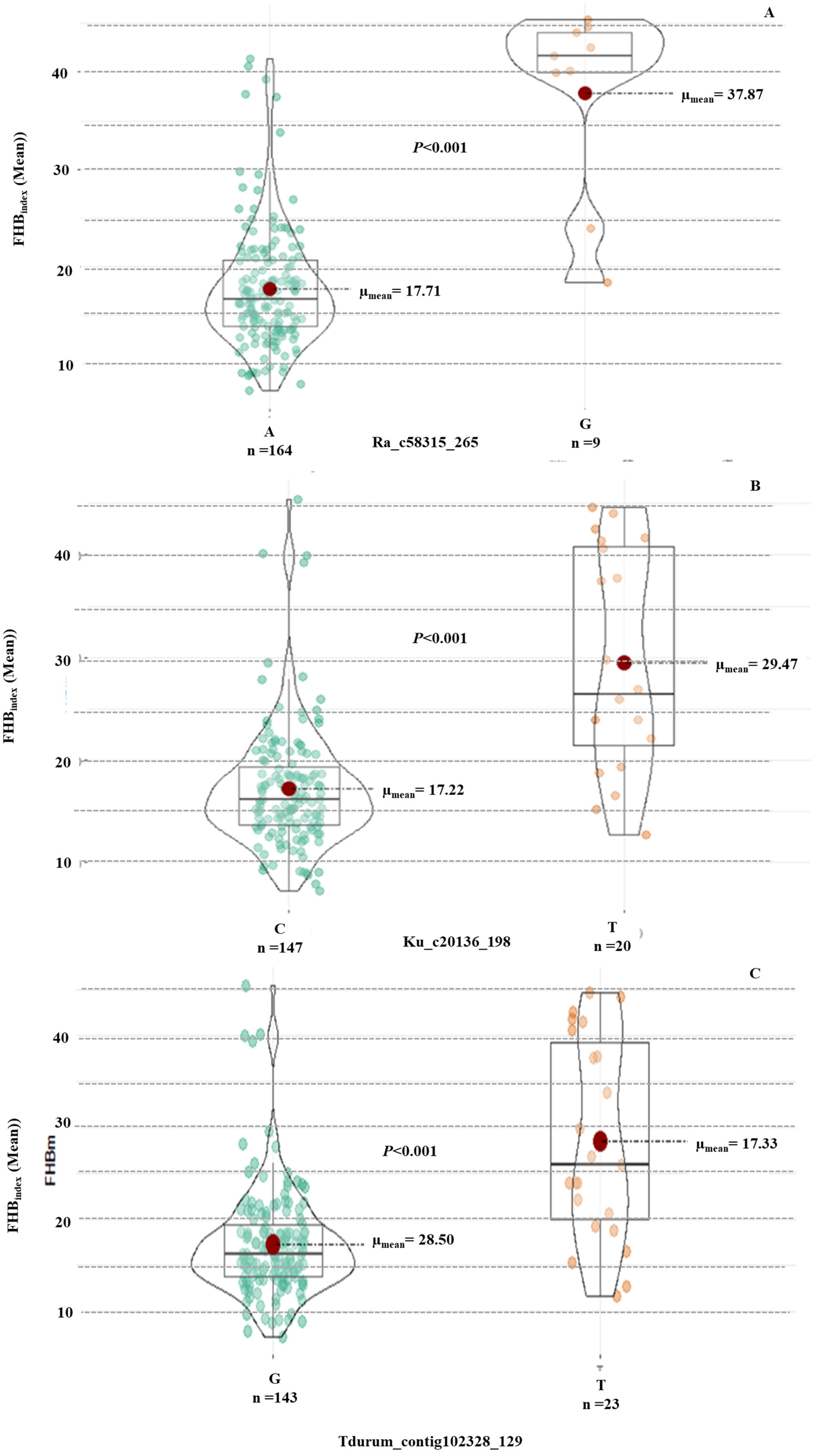 Pathogens 14 00490 g007