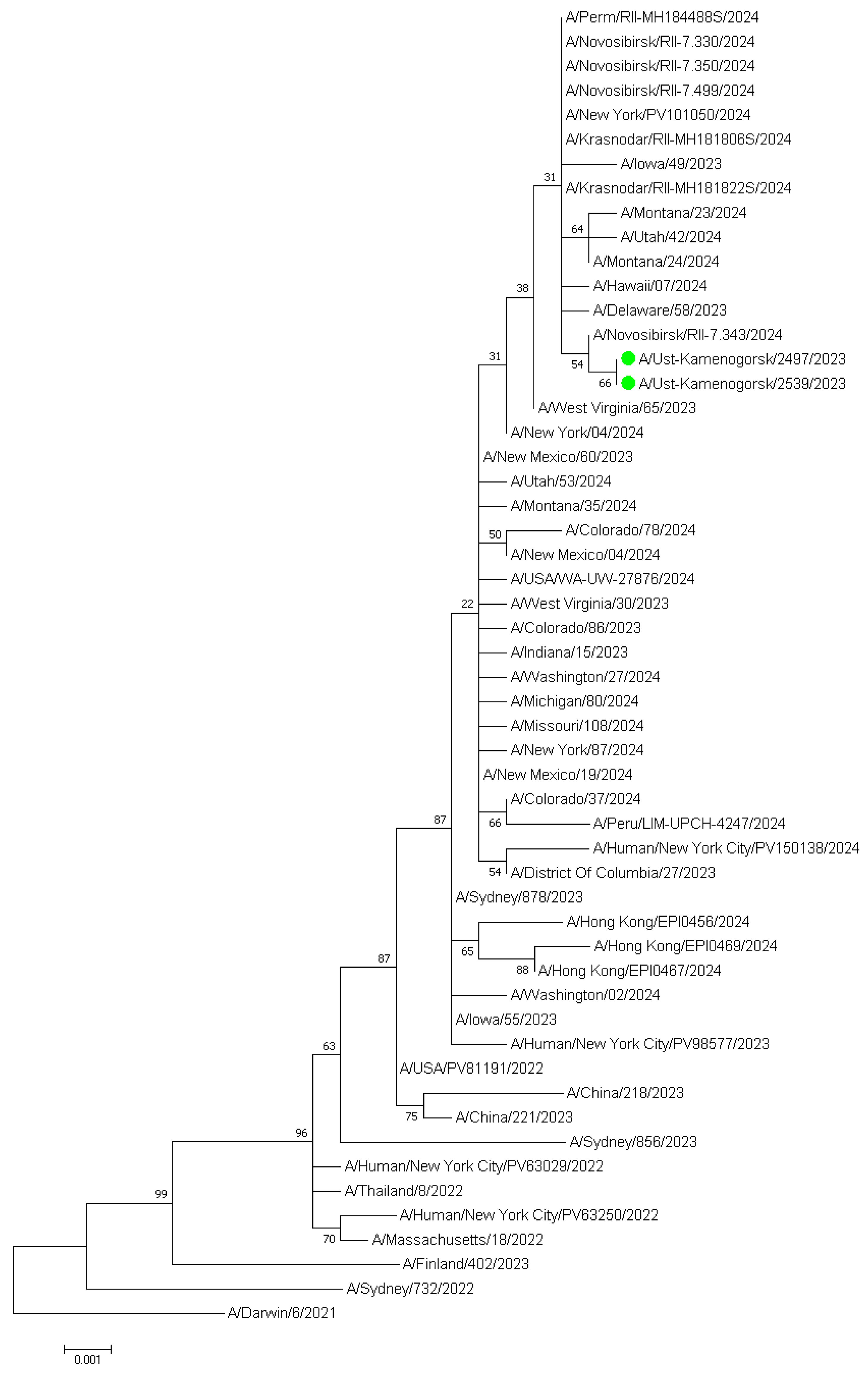 Pathogens 14 00493 g003