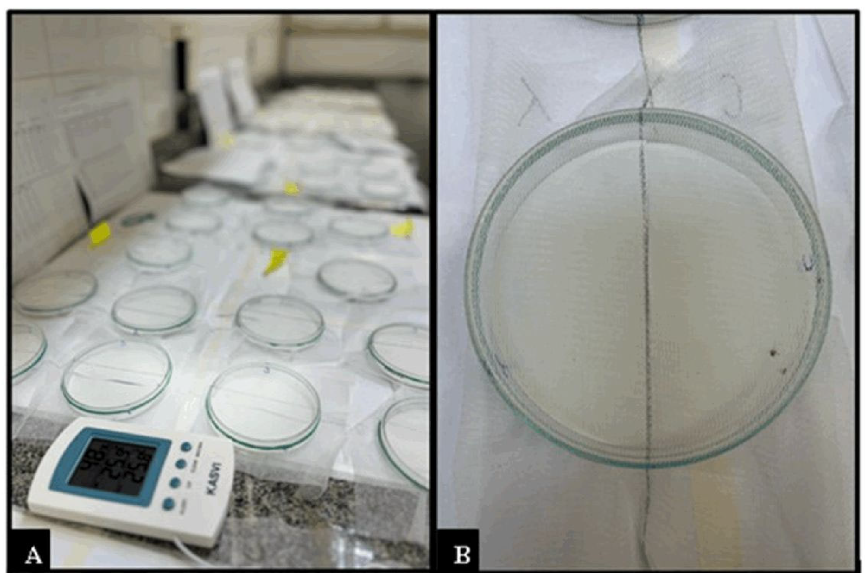 Pathogens 14 00495 g001 Pathogens 14 00495 g001