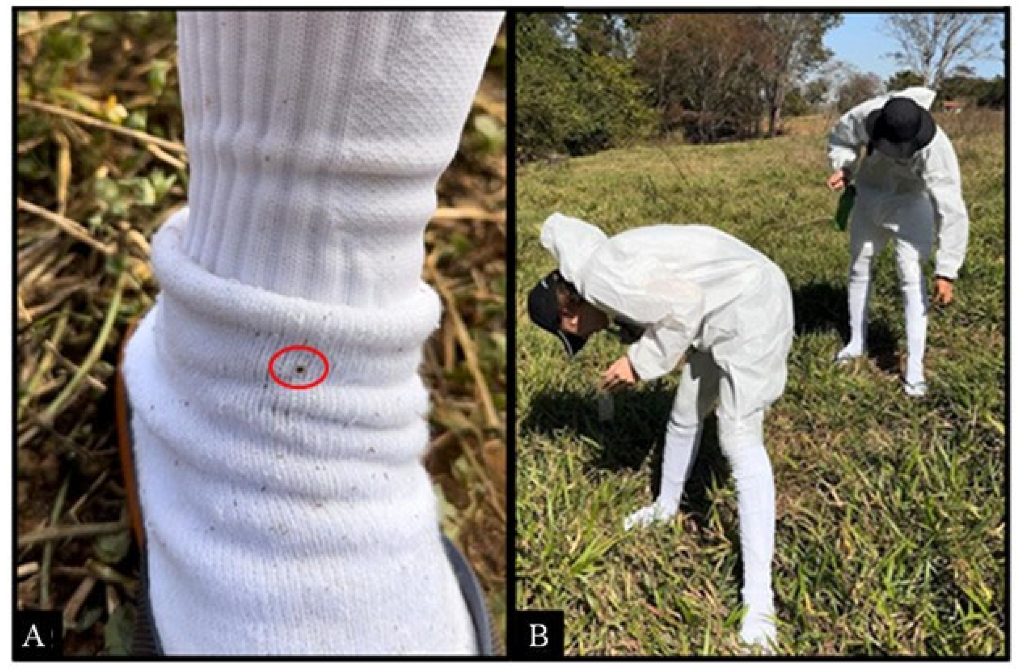 Pathogens 14 00495 g003 Pathogens 14 00495 g003