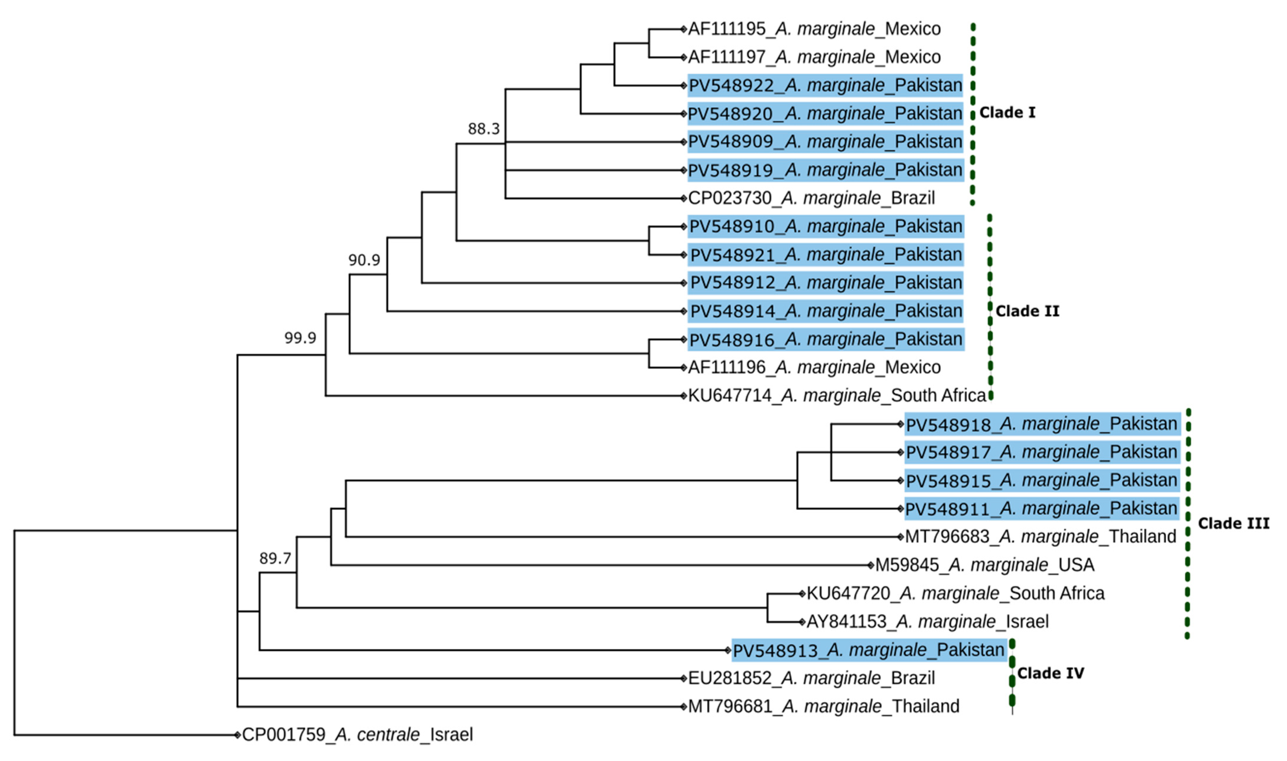 Pathogens 14 00499 g002 Pathogens 14 00499 g002