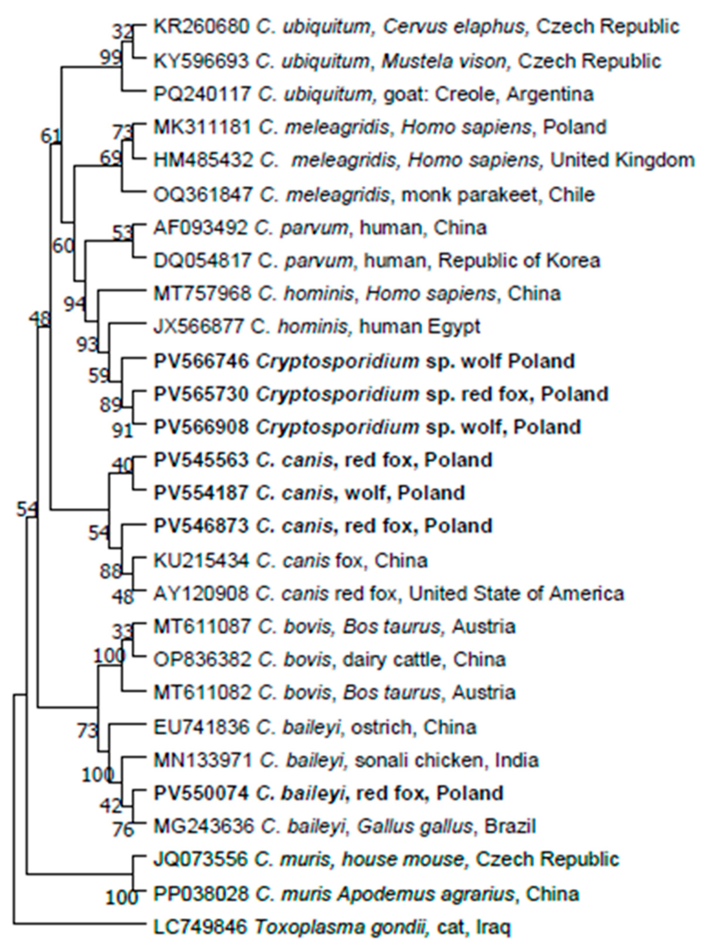 Pathogens 14 00500 g004