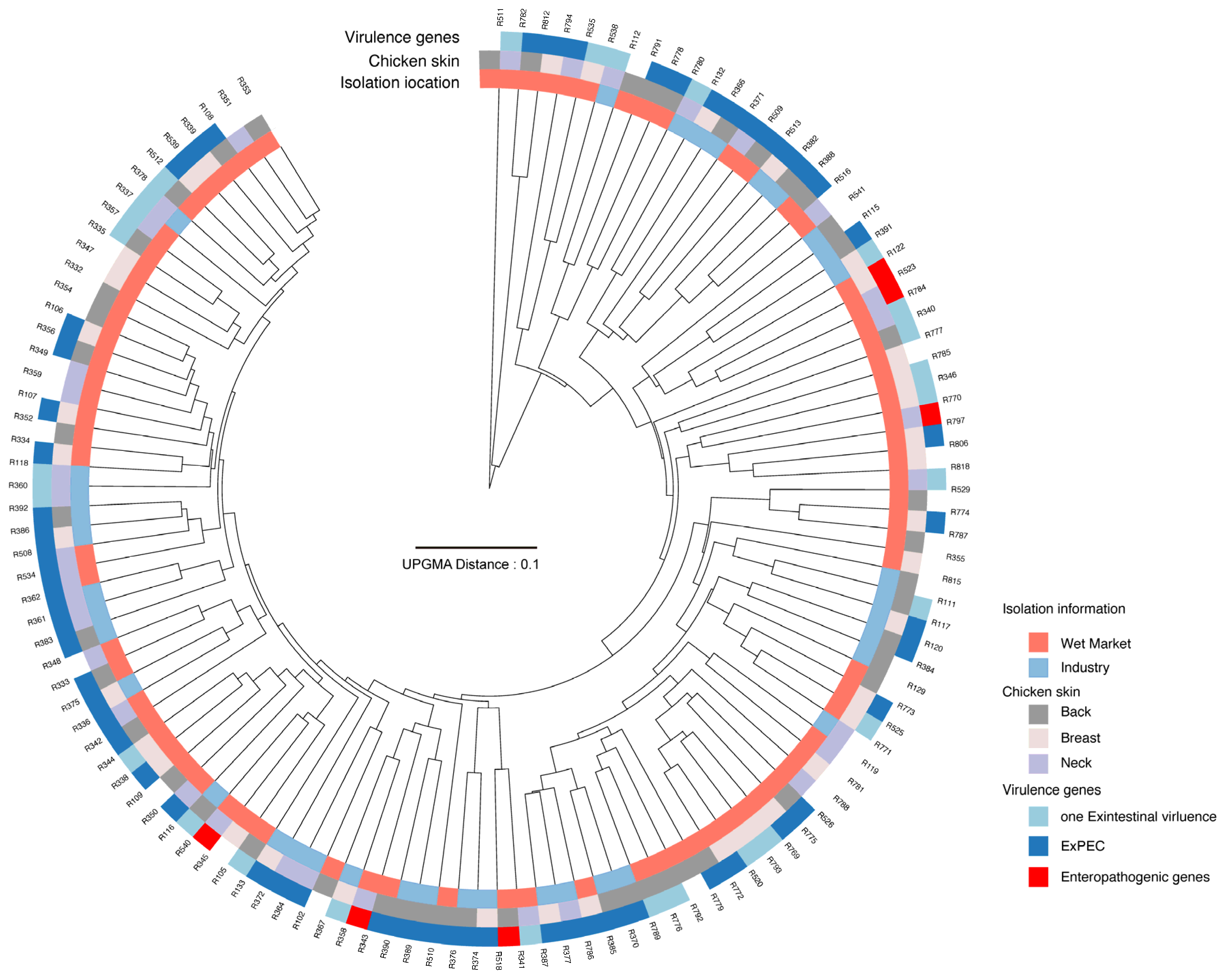 Pathogens 14 00501 g001