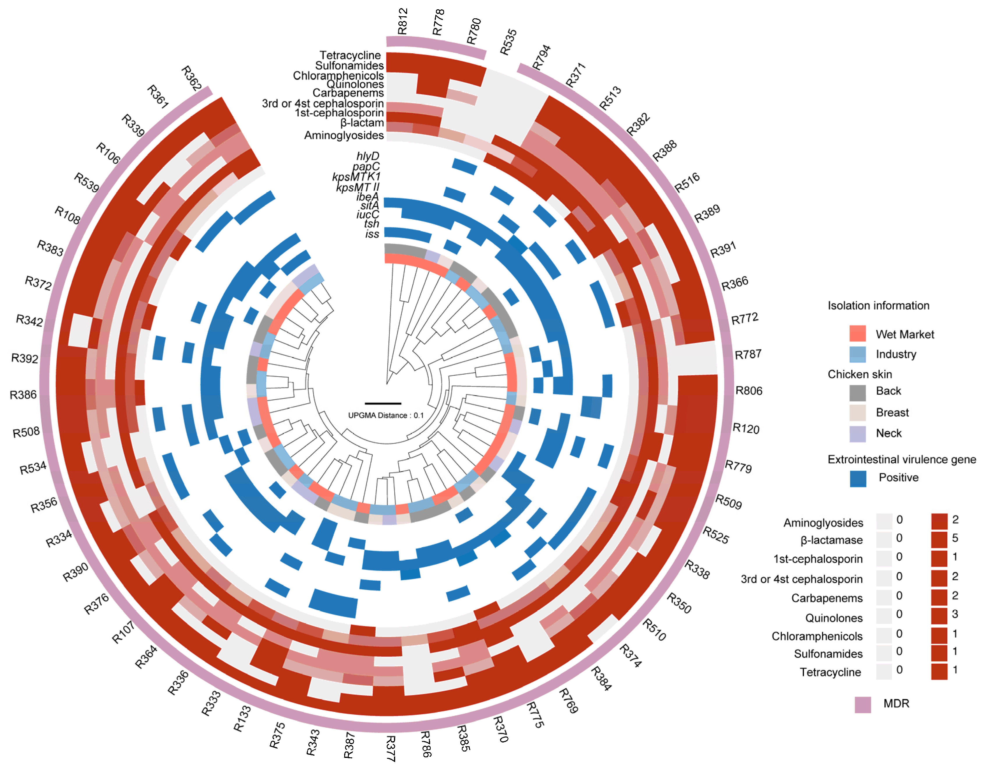 Pathogens 14 00501 g002