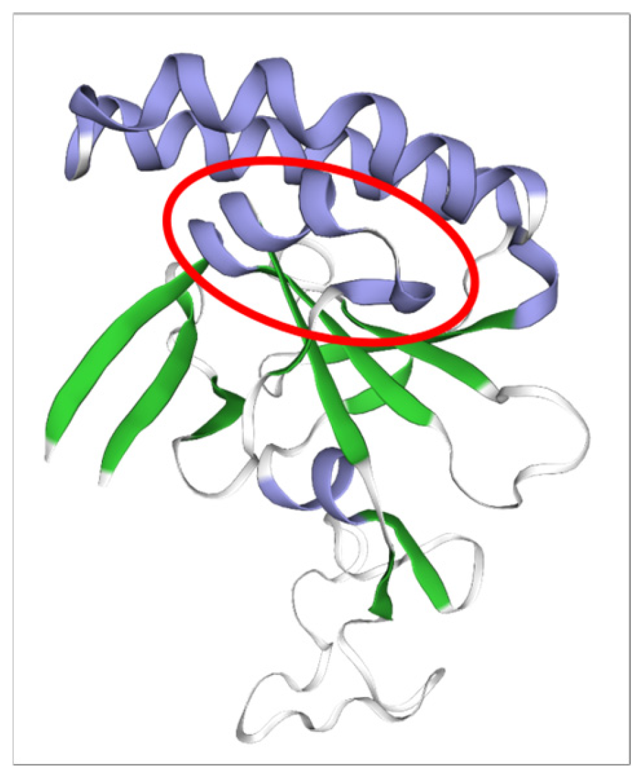Pathogens 14 00502 g003 Pathogens 14 00502 g003