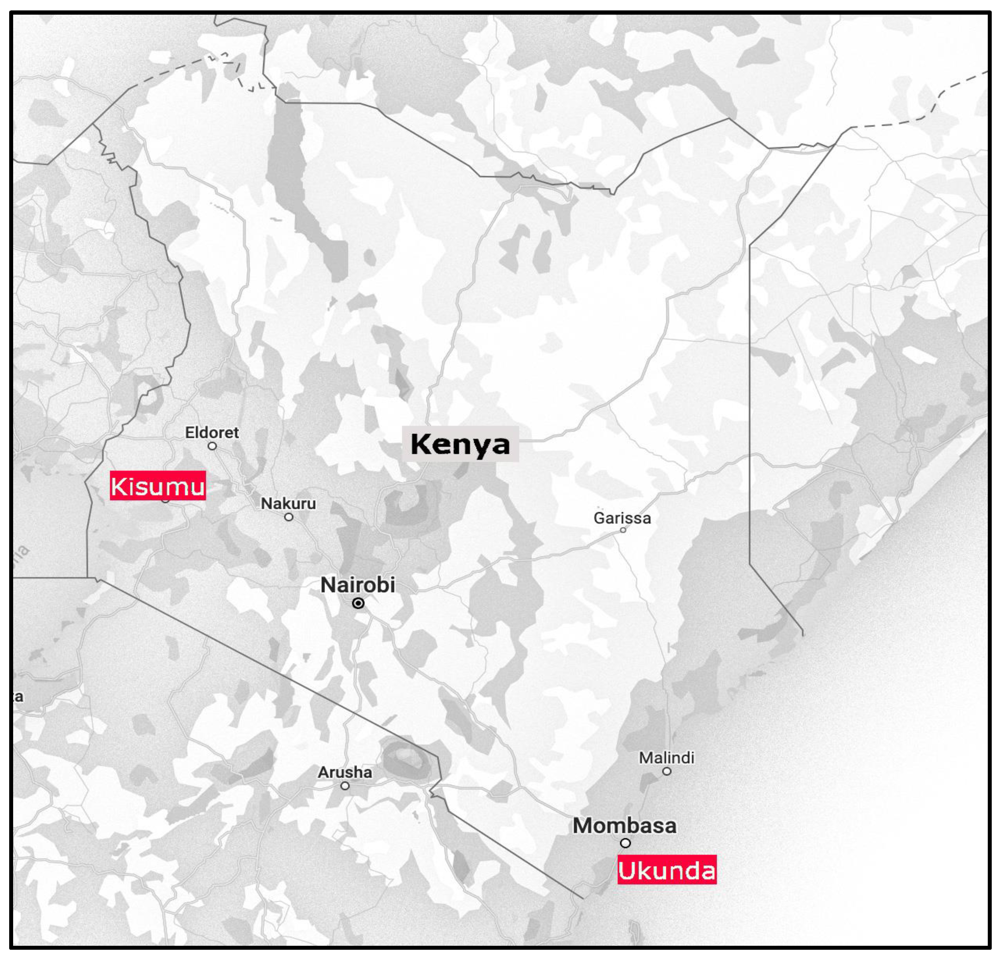 Pathogens 14 00505 g001