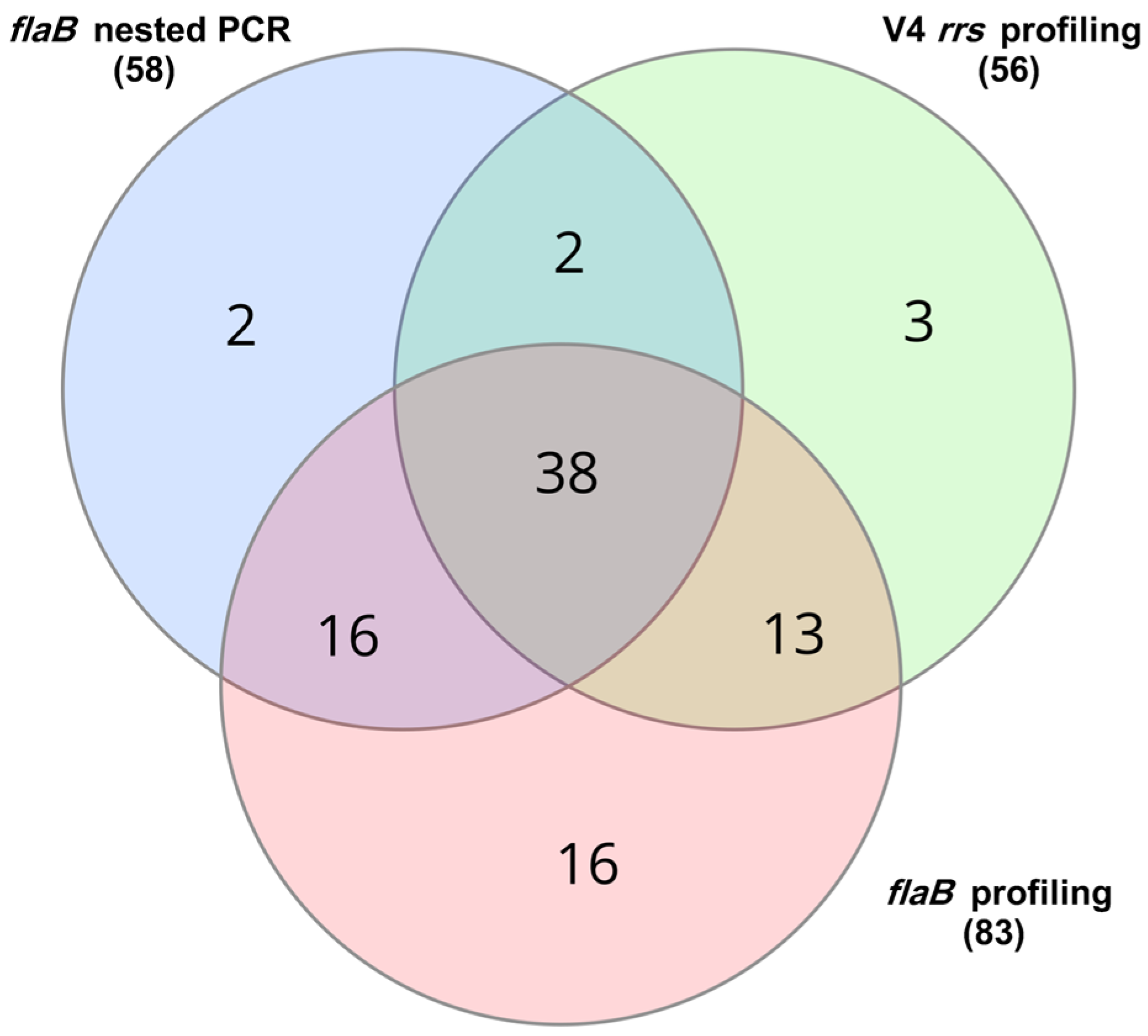 Pathogens 14 00506 g001