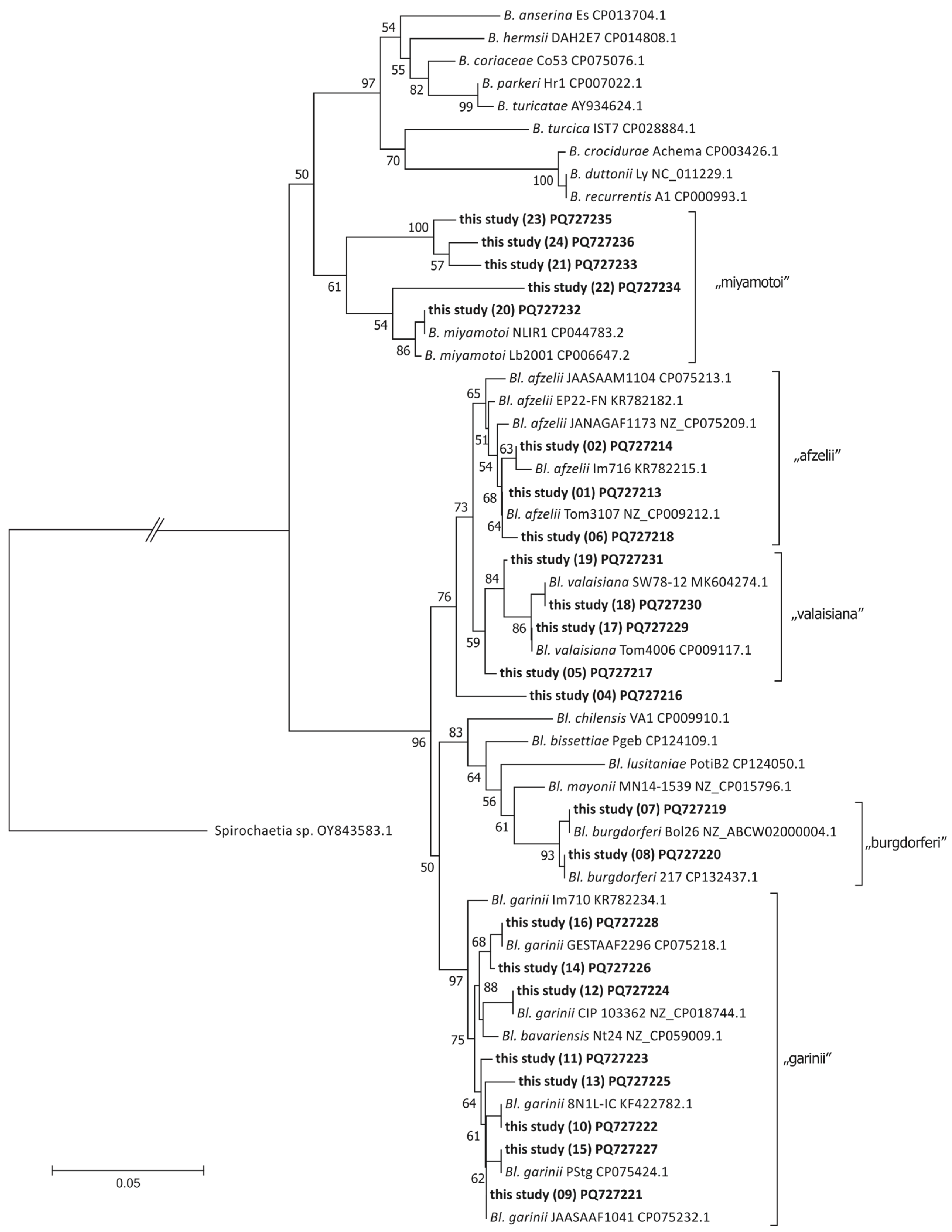 Pathogens 14 00506 g002