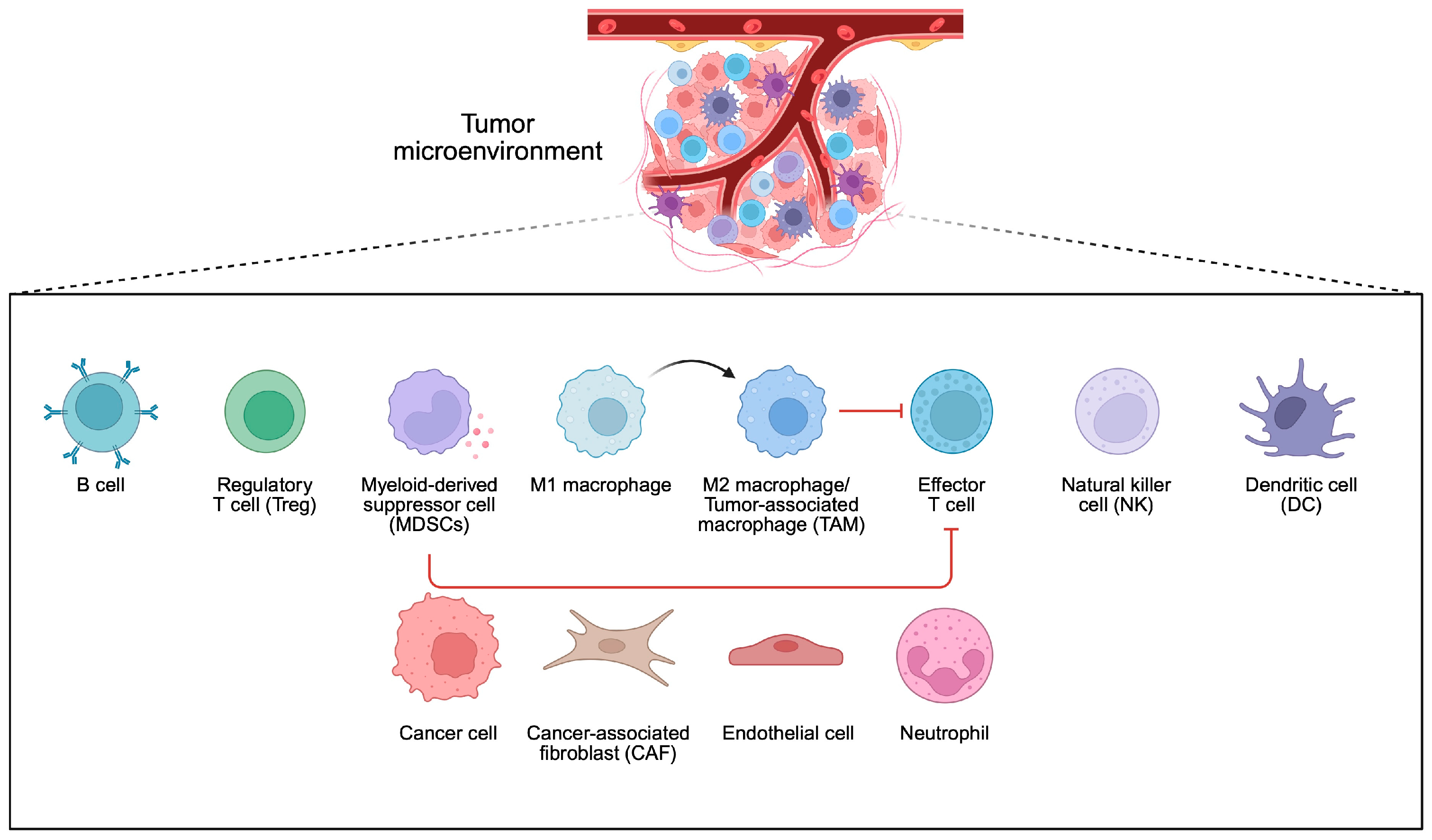 Pathogens 14 00509 g004