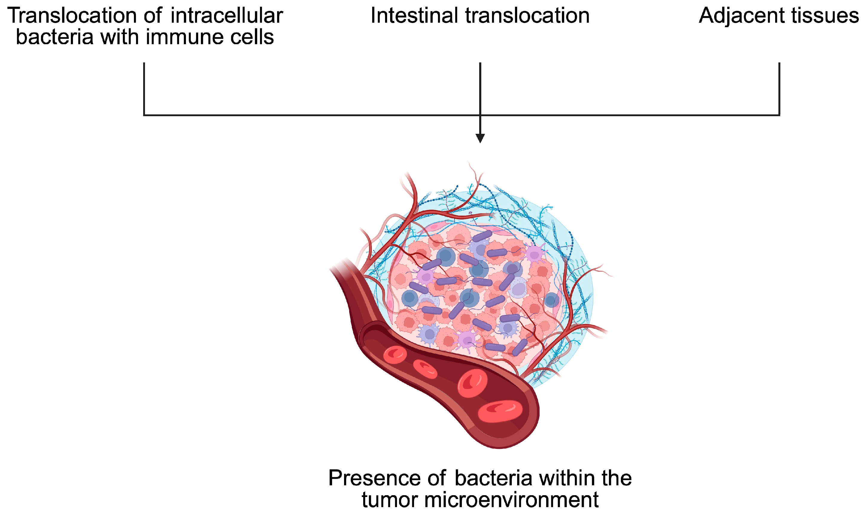 Pathogens 14 00509 g005
