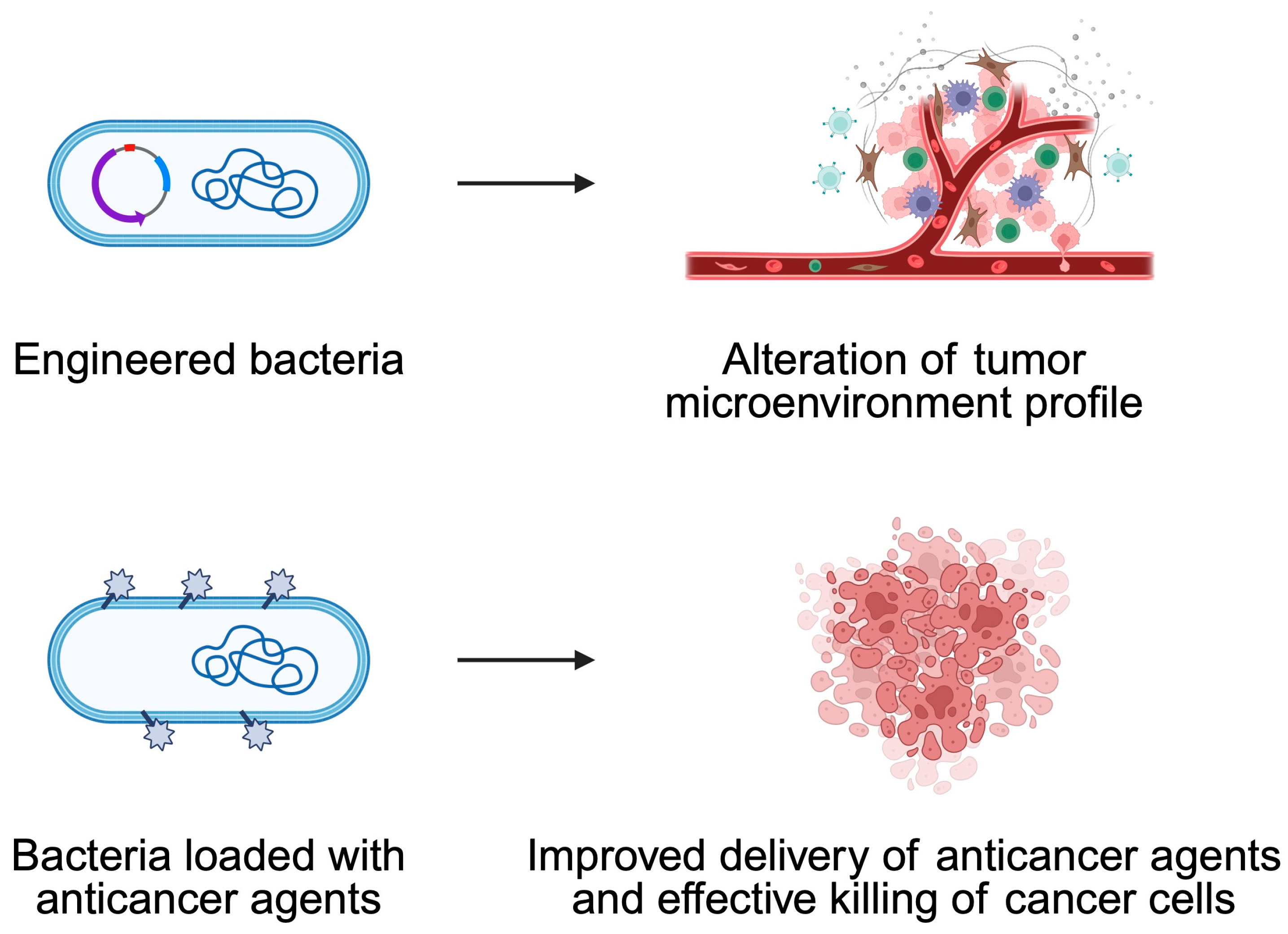 Pathogens 14 00509 g007