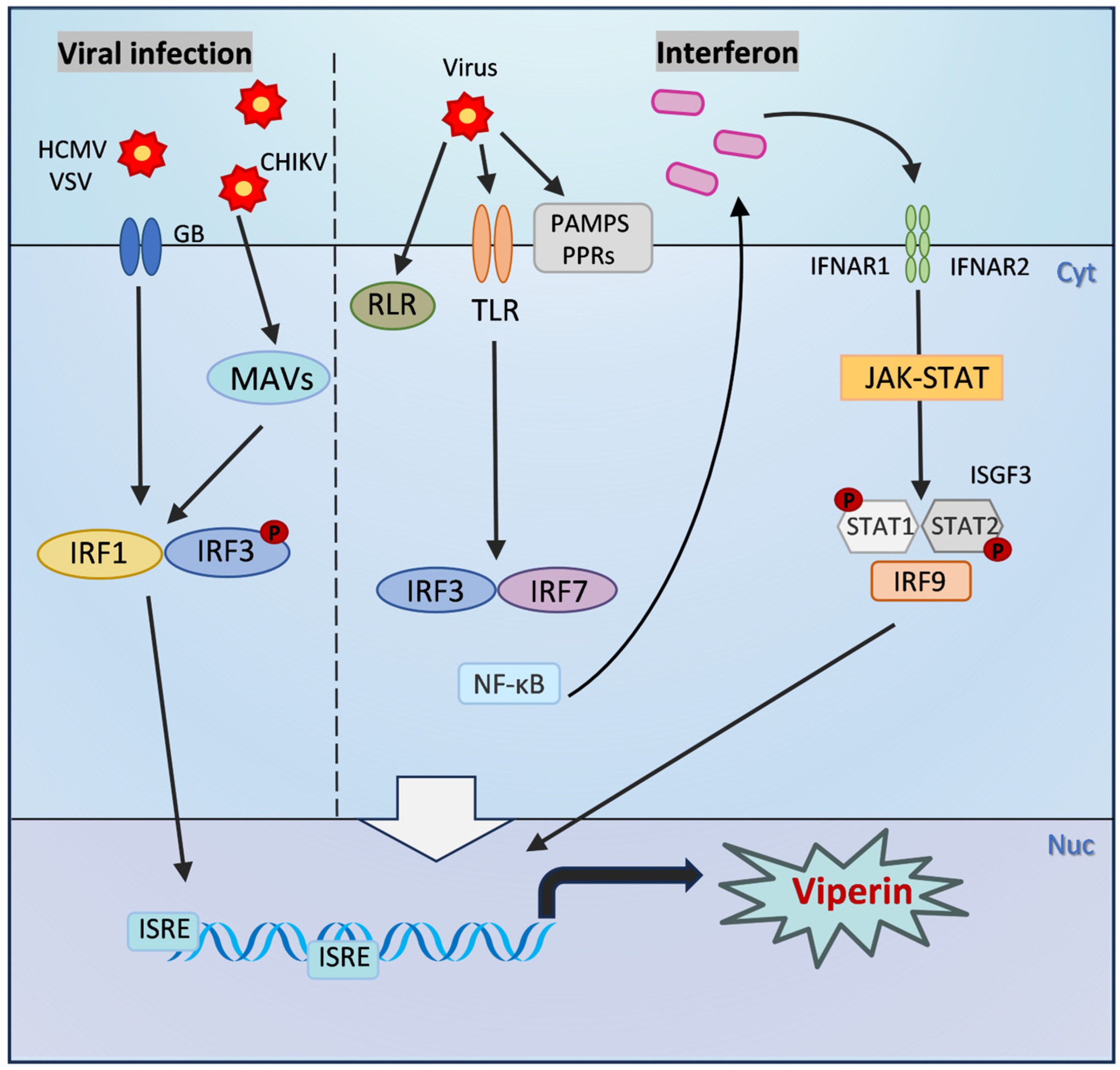 Pathogens 14 00510 g002