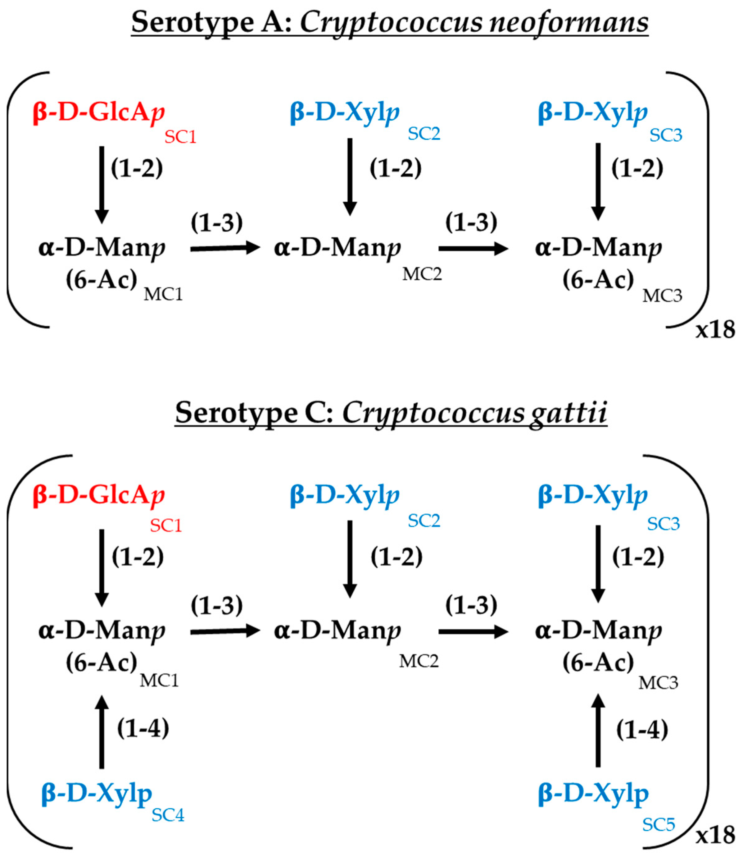 Pathogens 14 00511 g001 Pathogens 14 00511 g001
