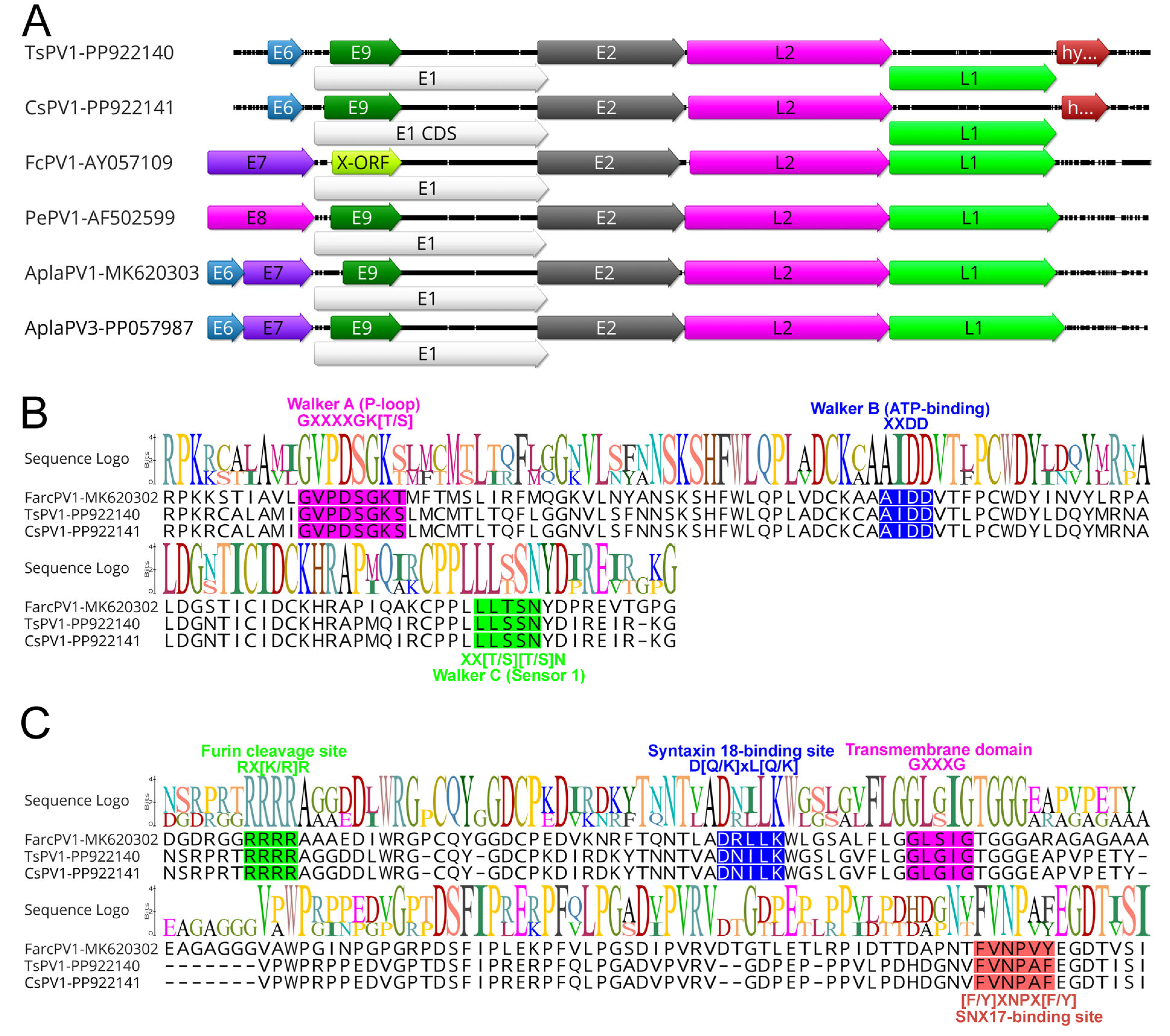 Pathogens 14 00514 g001