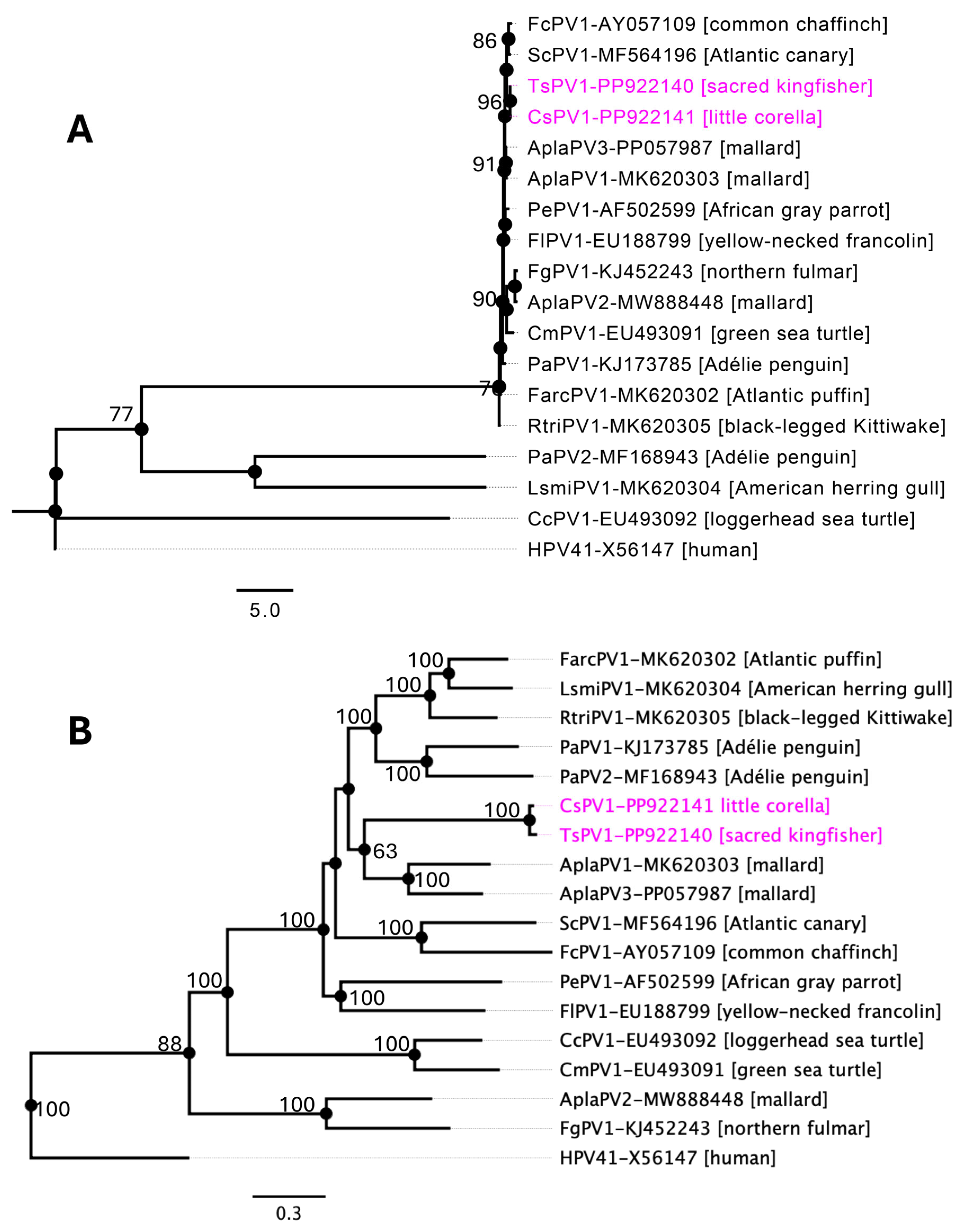 Pathogens 14 00514 g002