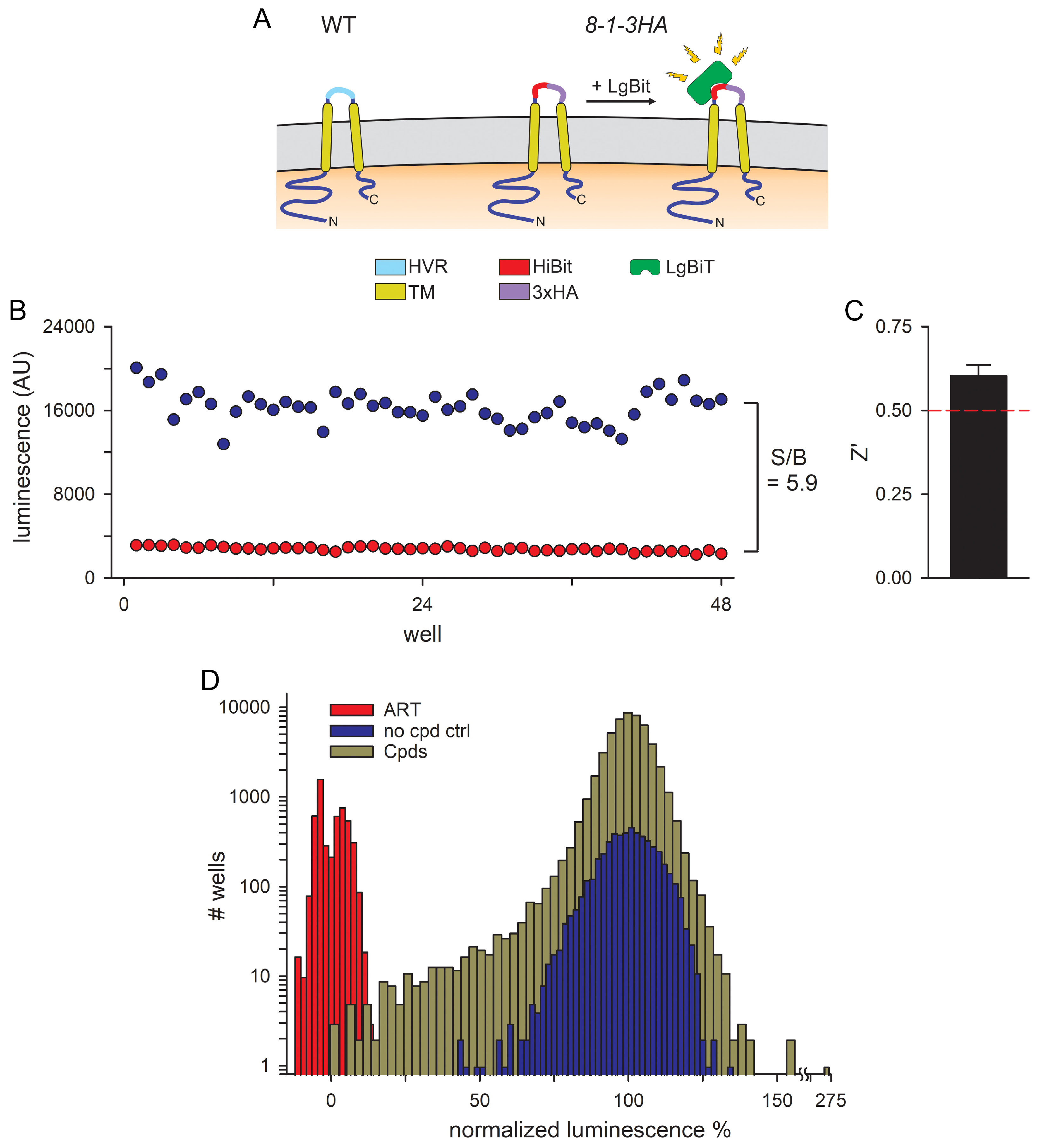 Pathogens 14 00520 g001