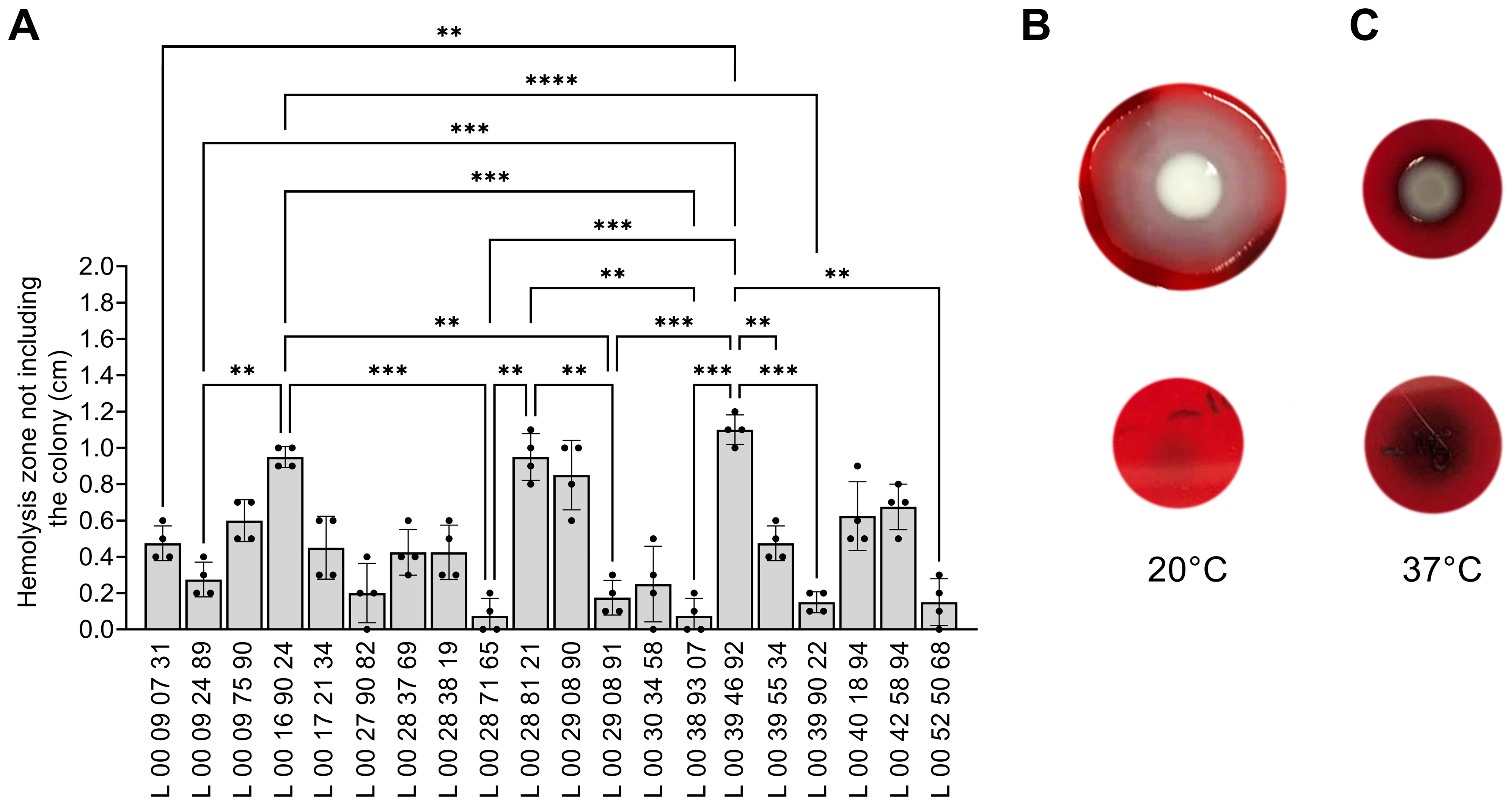 Pathogens 14 00521 g005