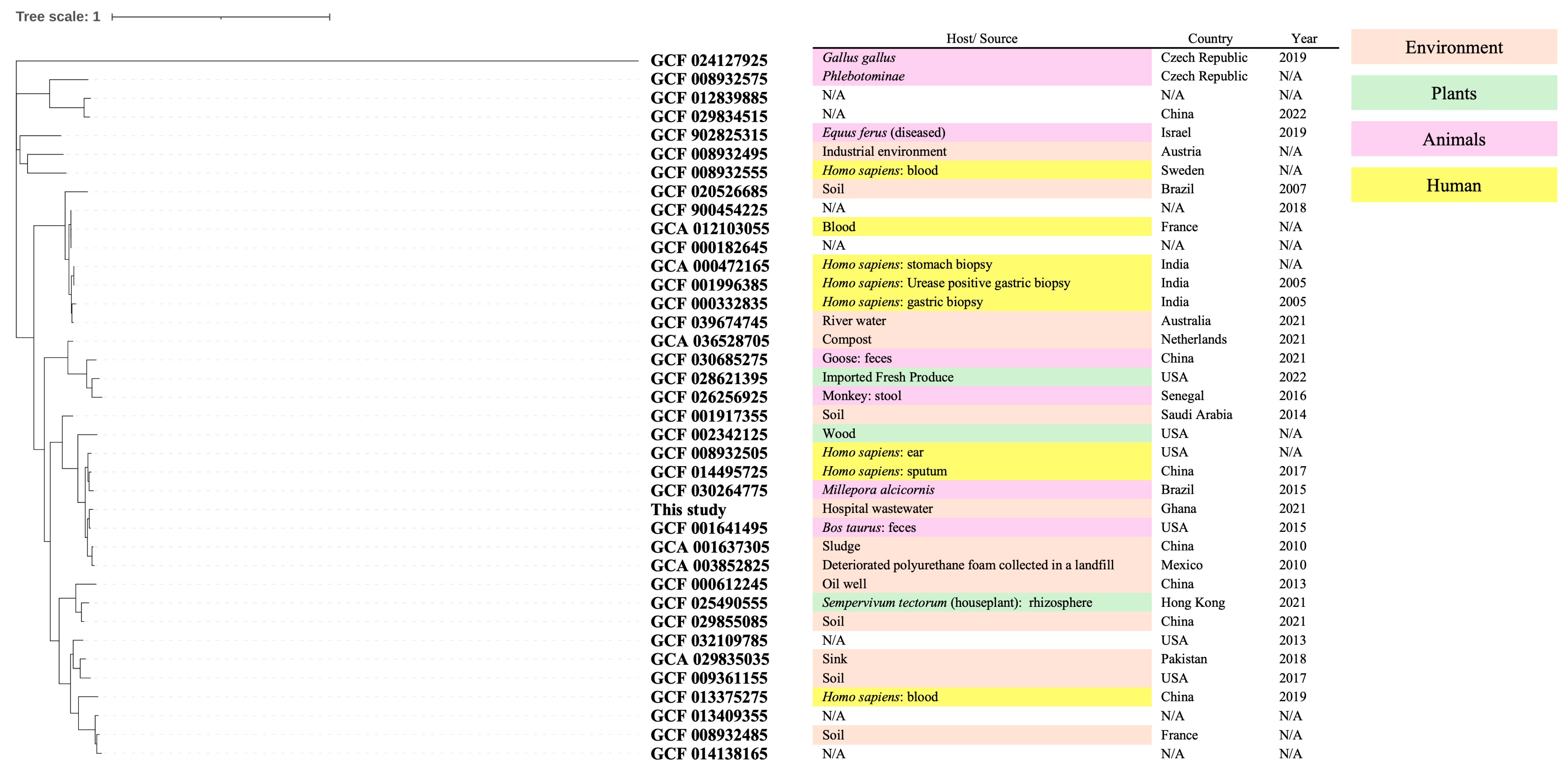 Pathogens 14 00522 g001