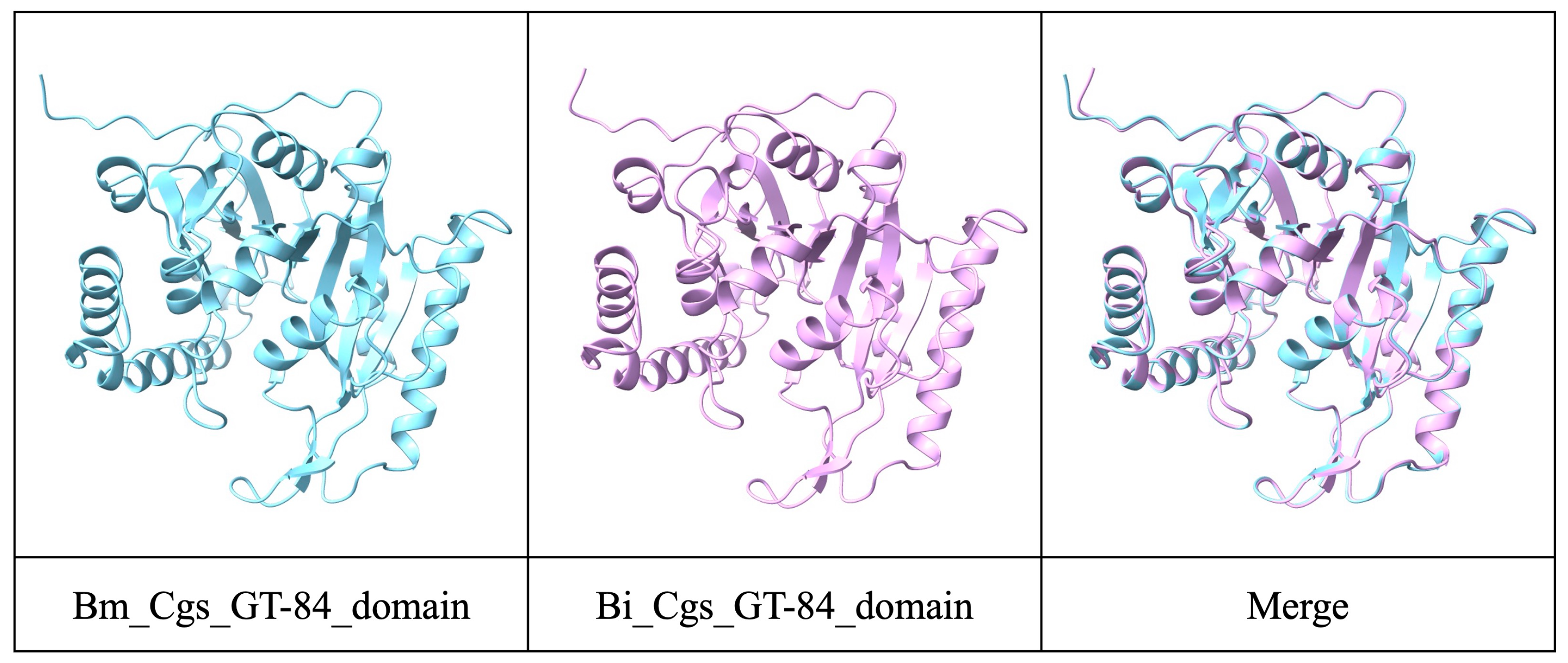 Pathogens 14 00522 g002