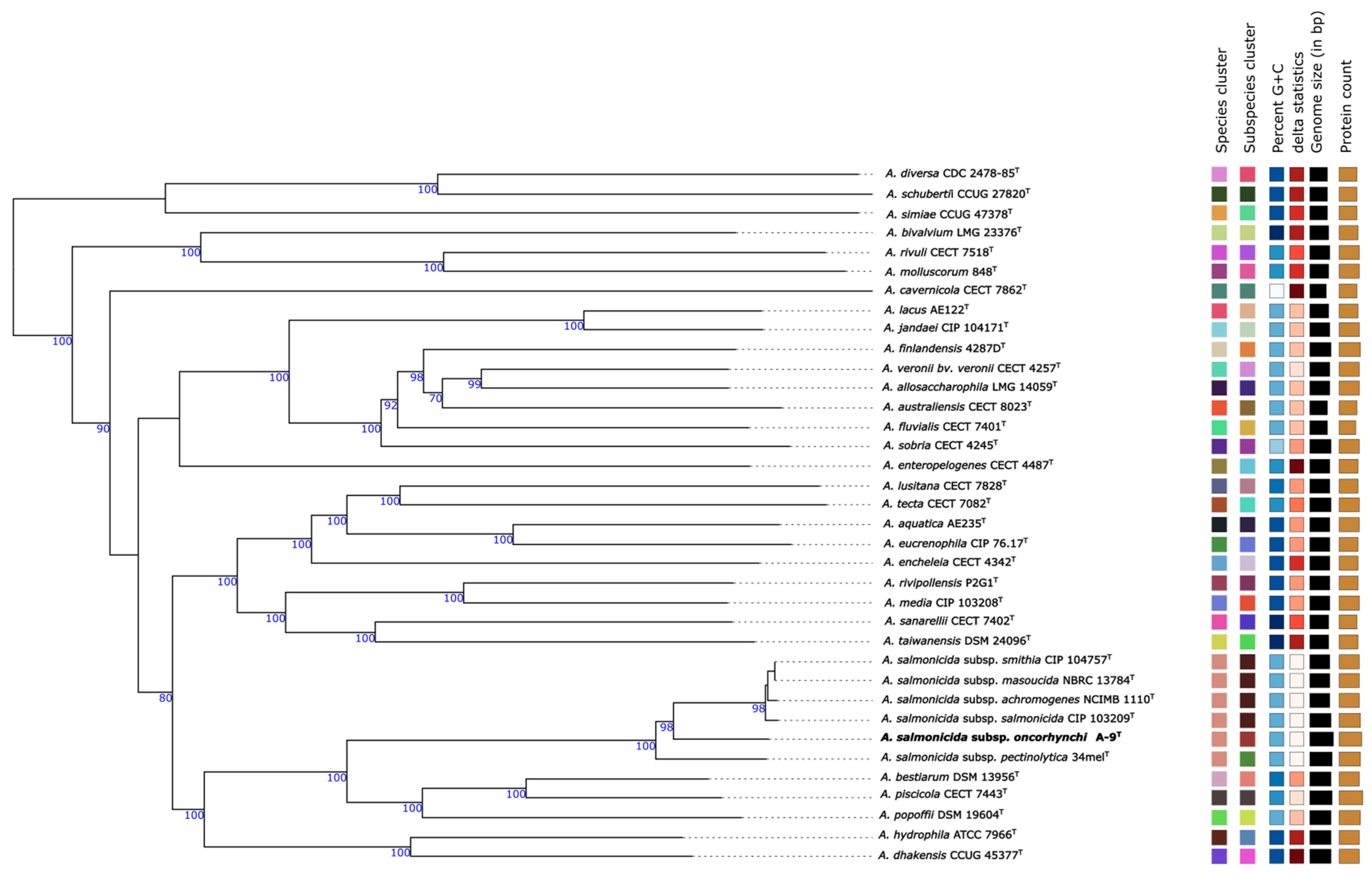 Pathogens 14 00523 g001 Pathogens 14 00523 g001