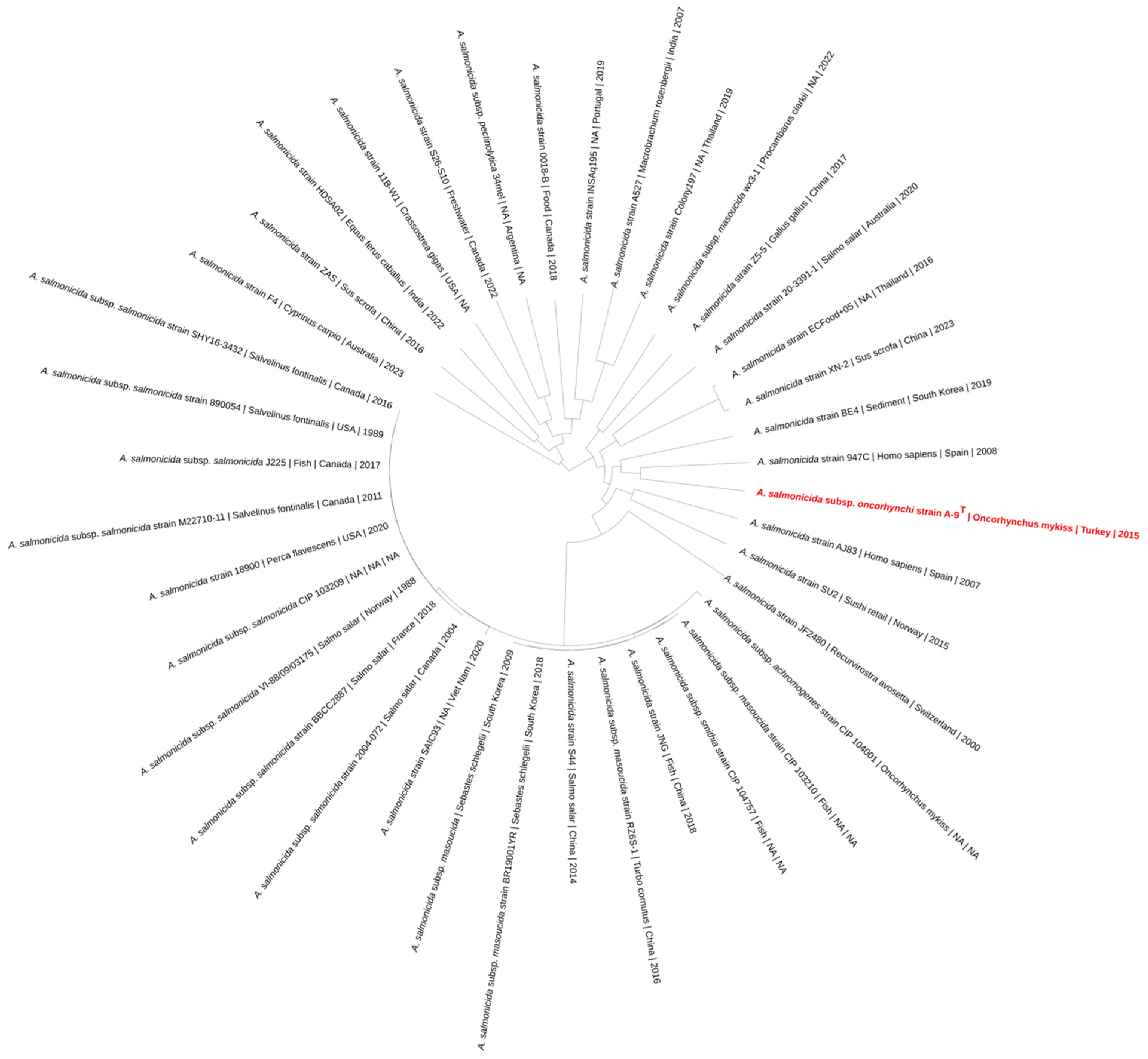 Pathogens 14 00523 g005 Pathogens 14 00523 g005