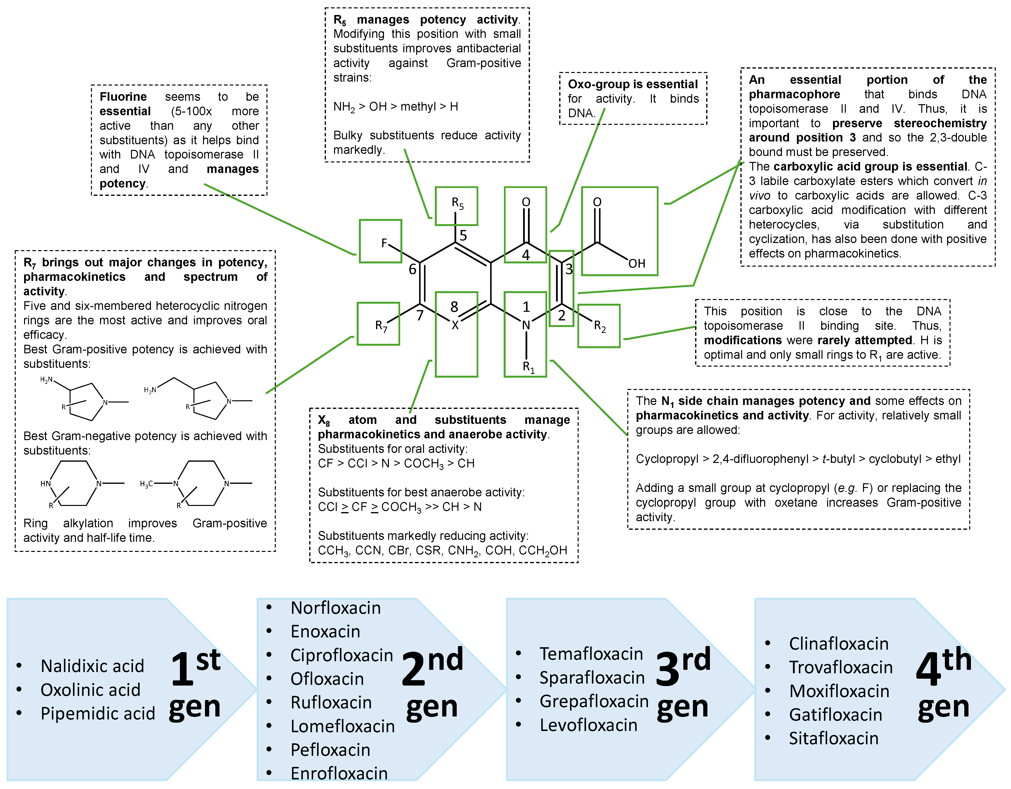 Pathogens 14 00525 g004 Pathogens 14 00525 g004