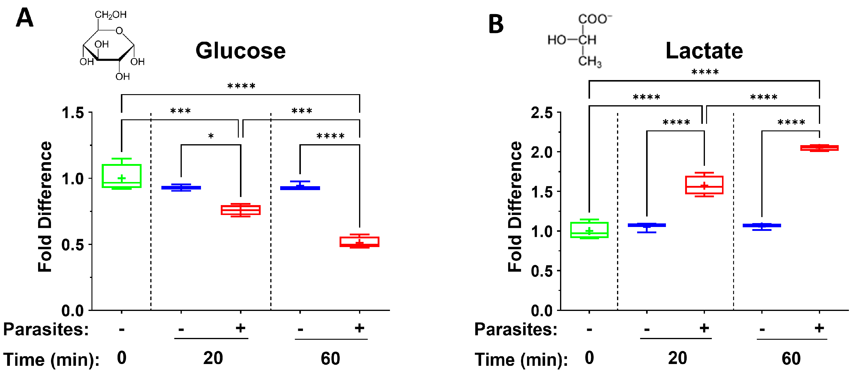 Pathogens 14 00526 g001