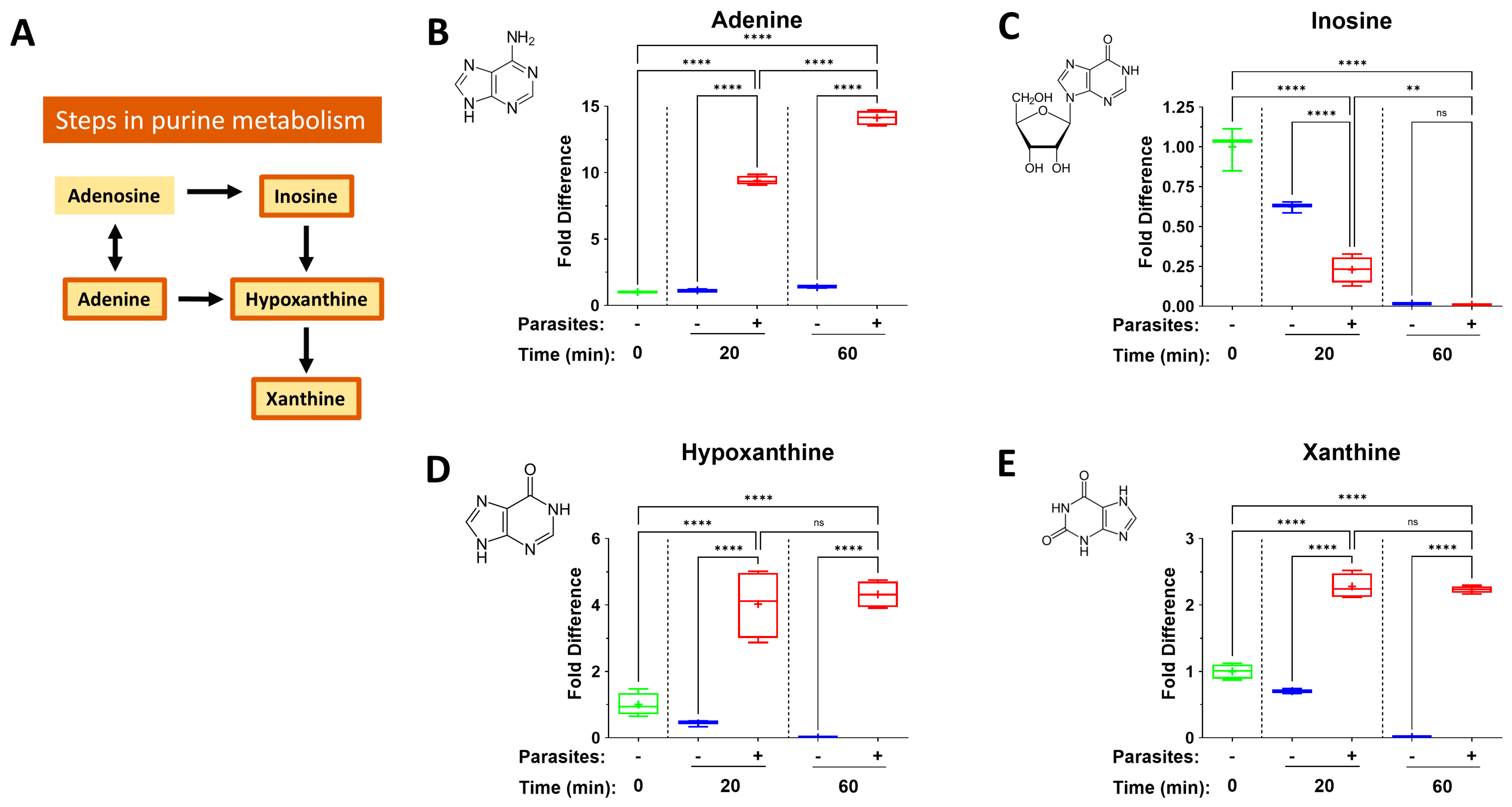 Pathogens 14 00526 g004