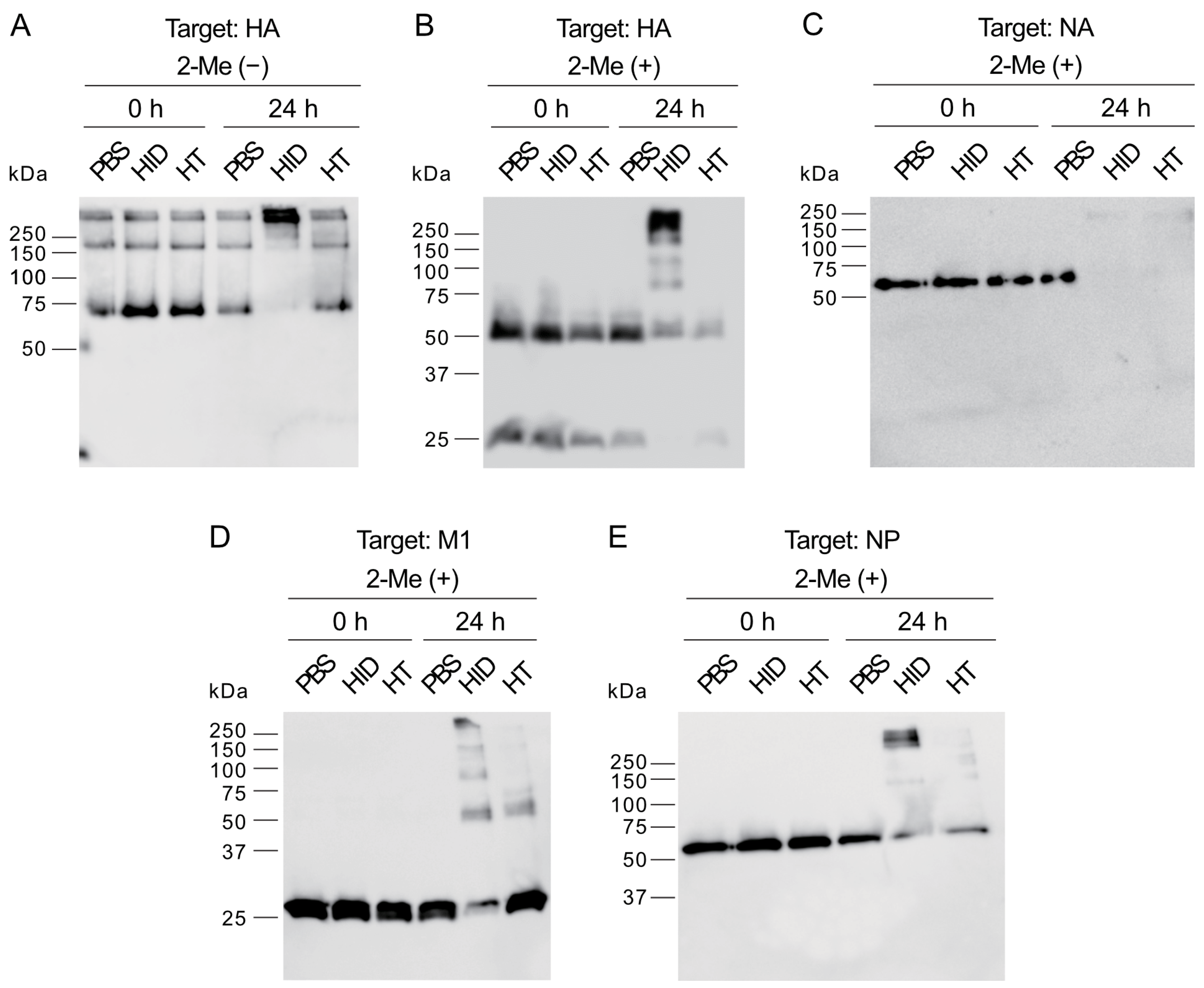 Pathogens 14 00529 g005