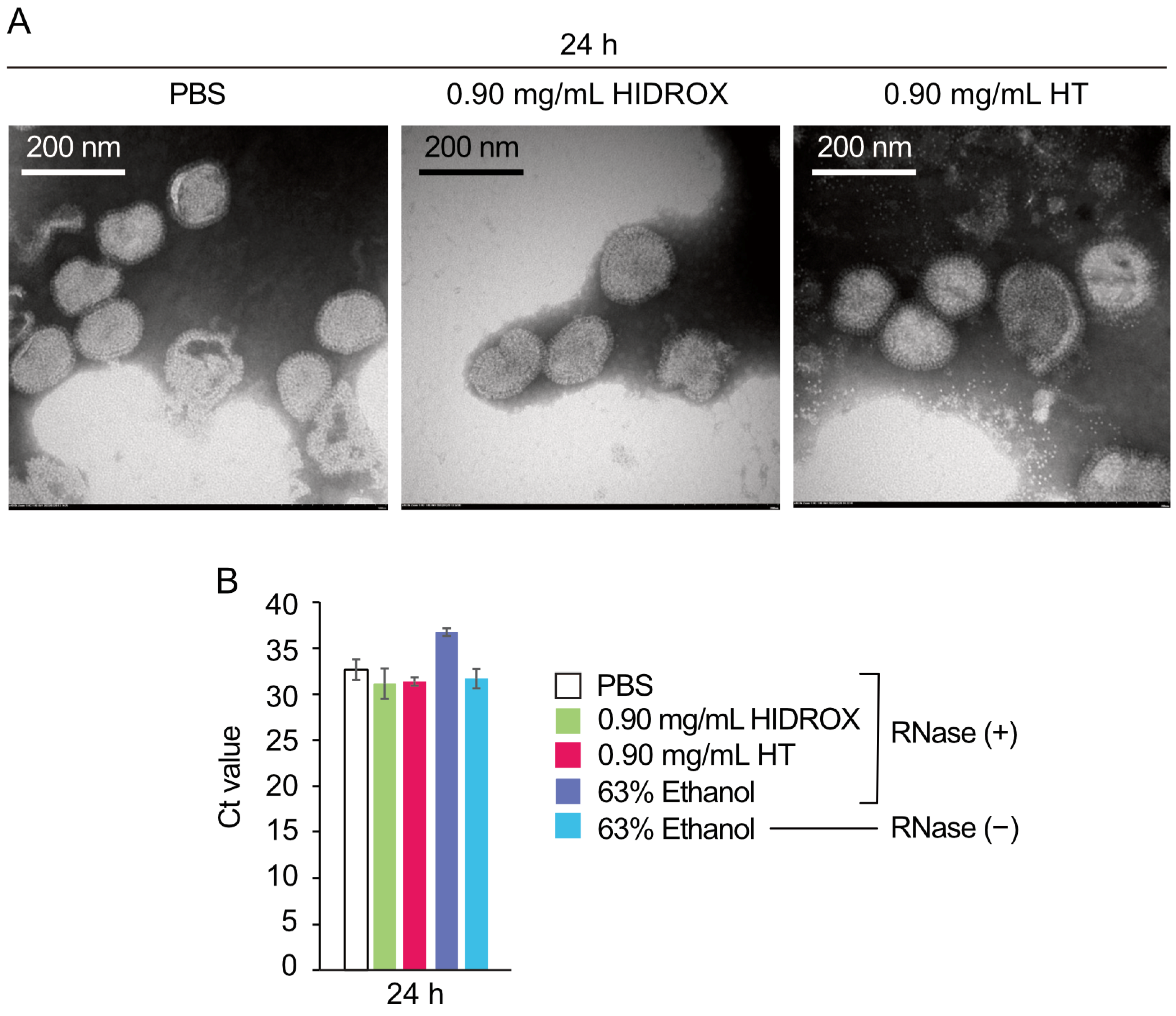 Pathogens 14 00529 g009