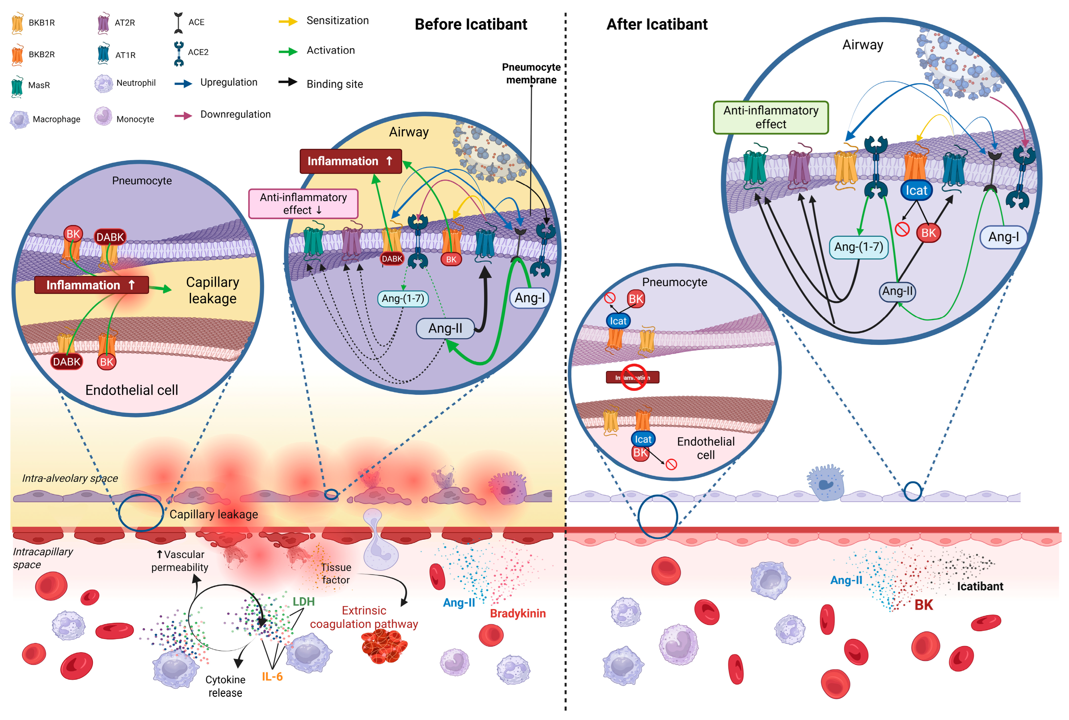 Pathogens 14 00533 g004