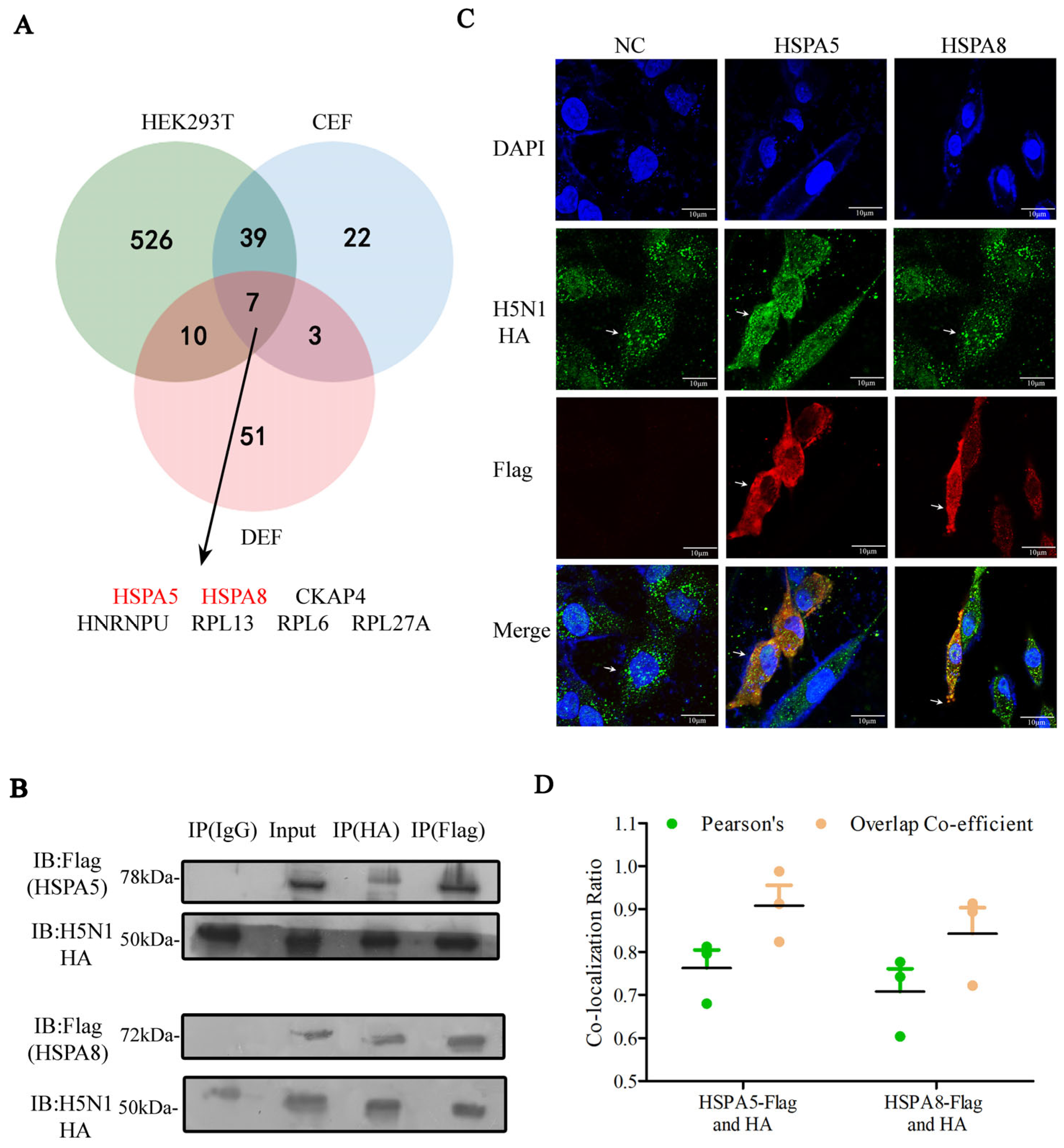 Pathogens 14 00535 g004