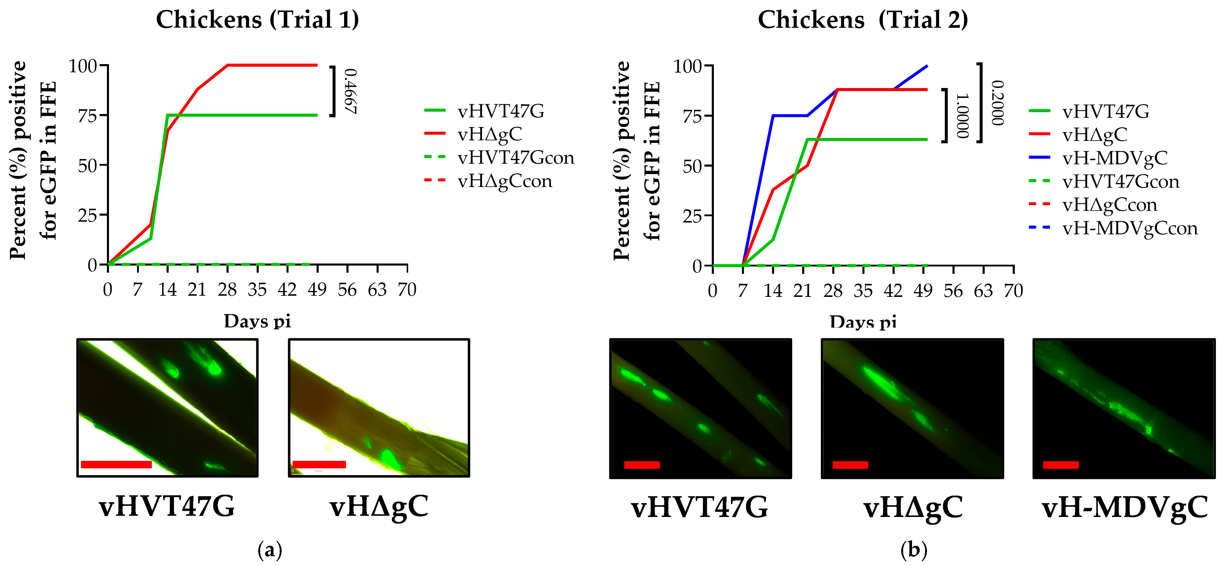 Pathogens 14 00538 g002
