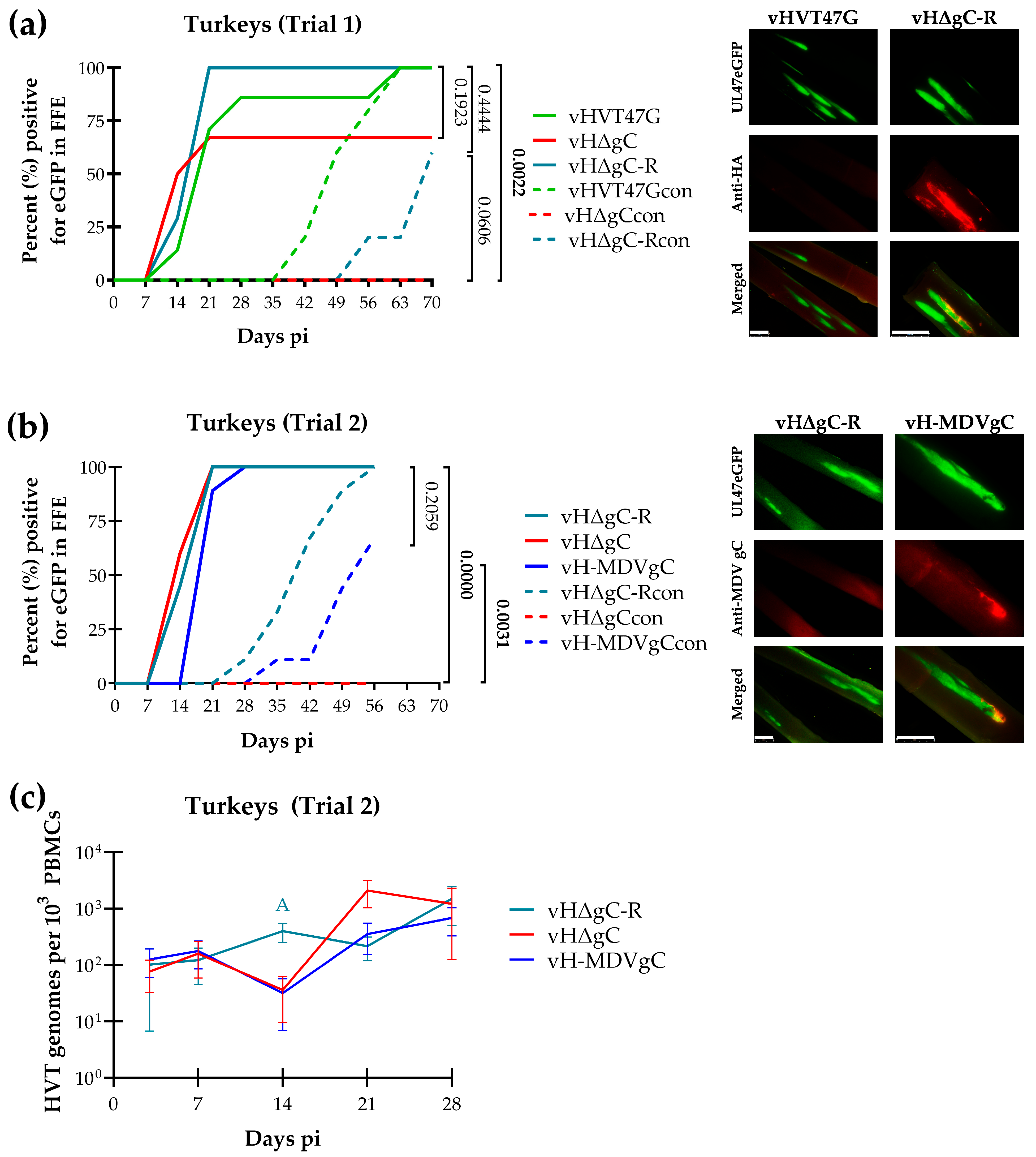 Pathogens 14 00538 g003