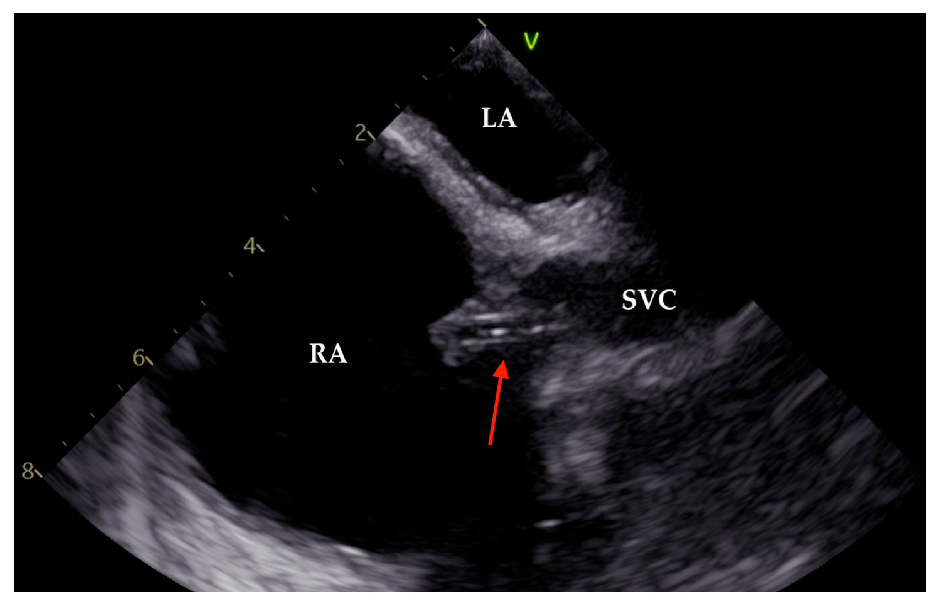Pathogens 14 00539 g003