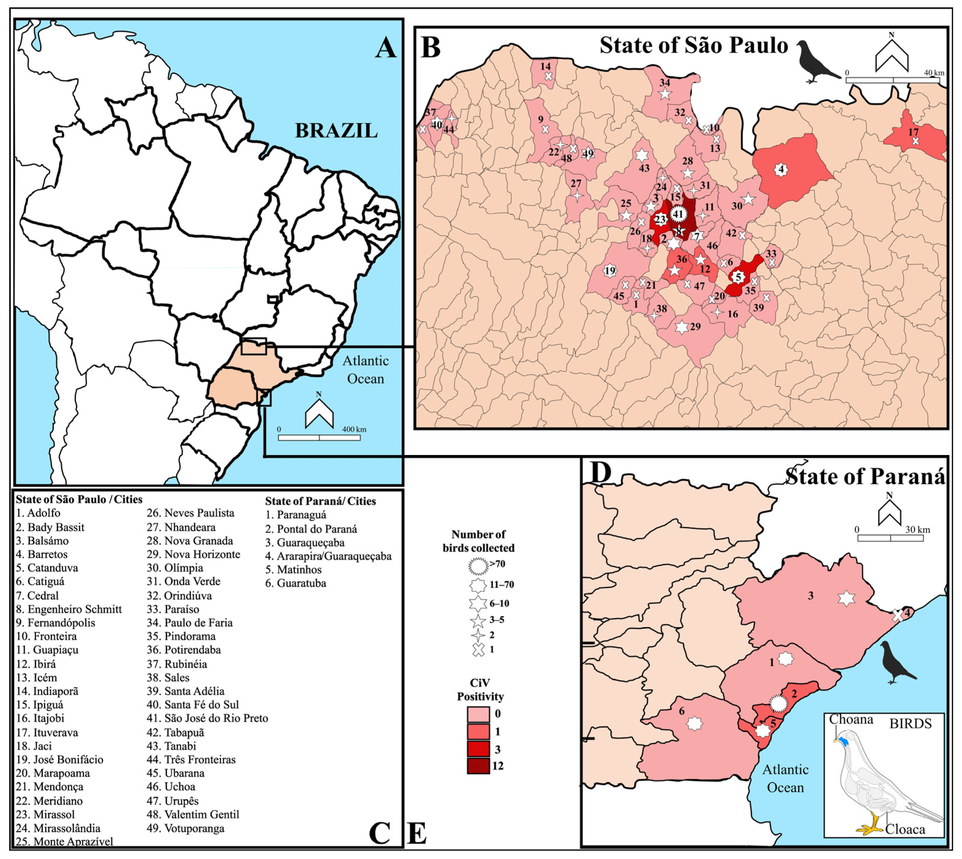 Pathogens 14 00540 g001