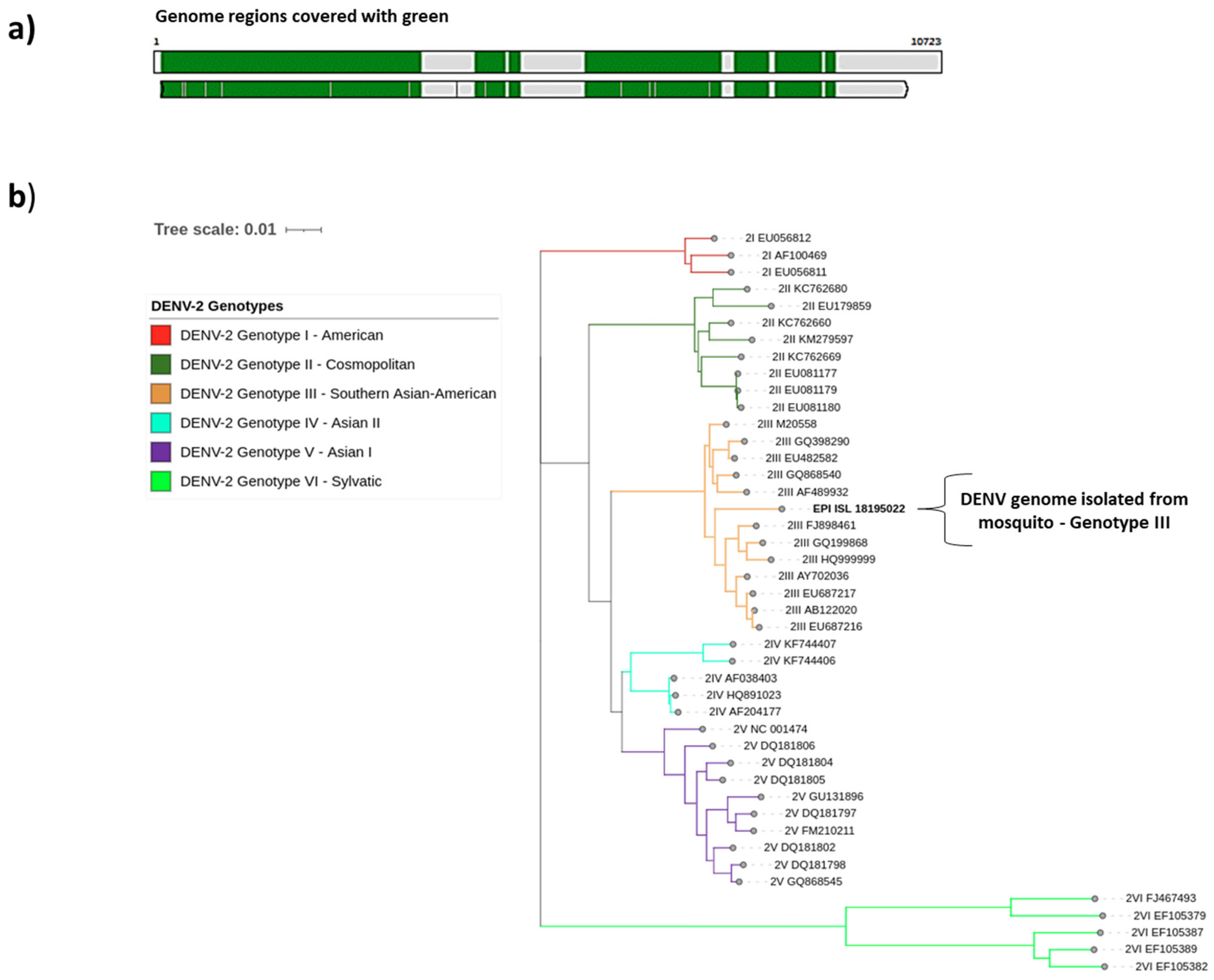 Pathogens 14 00541 g002